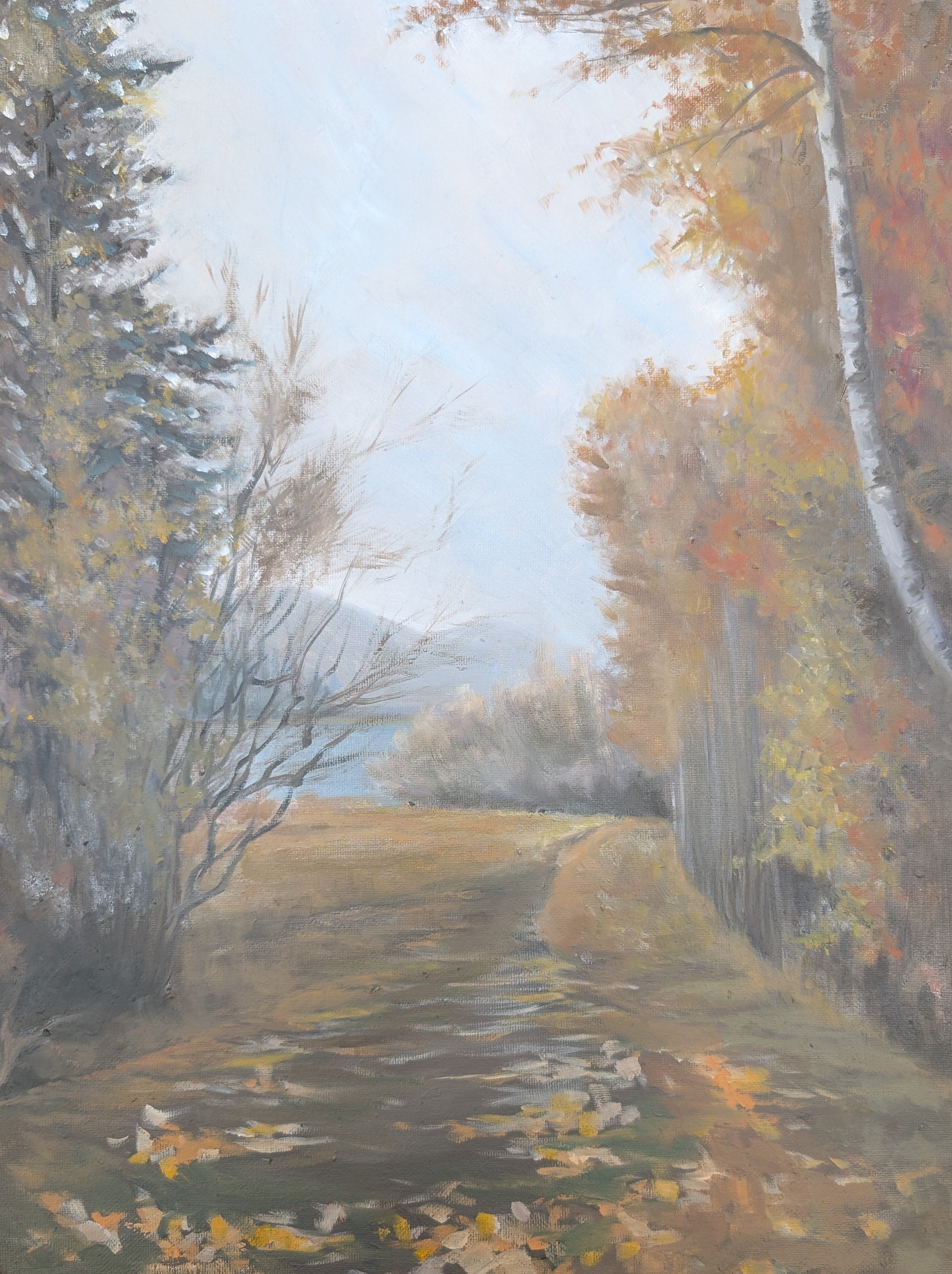 LewisLiu_Manifesto of Silver Lake.jpg