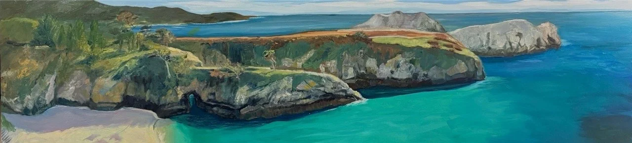 BakerDennis _Pelican Point - Dennis Baker.jpeg