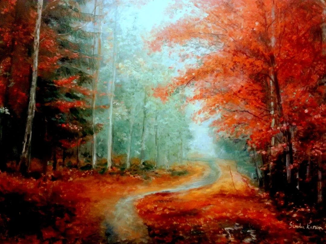 Auc - Sindu Karun.jpg