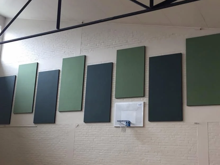 Side view of an indoor gymnasium wall with several green and dark blue acoustic panels and a small basketball hoop.