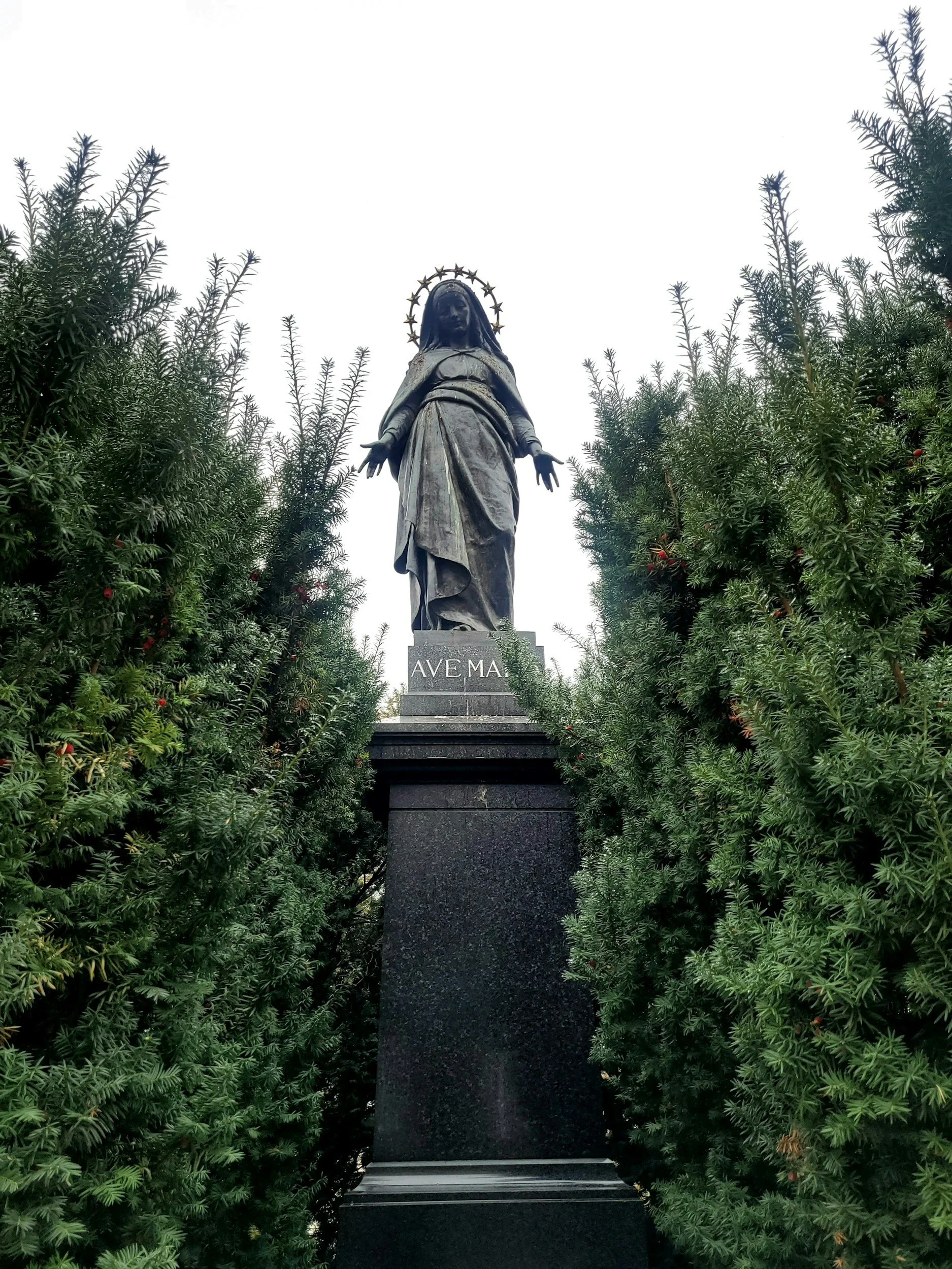 Why Every Catholic Should Read Ave Maria by Michael Knight: Confronting Darkness to Embrace God’s Power