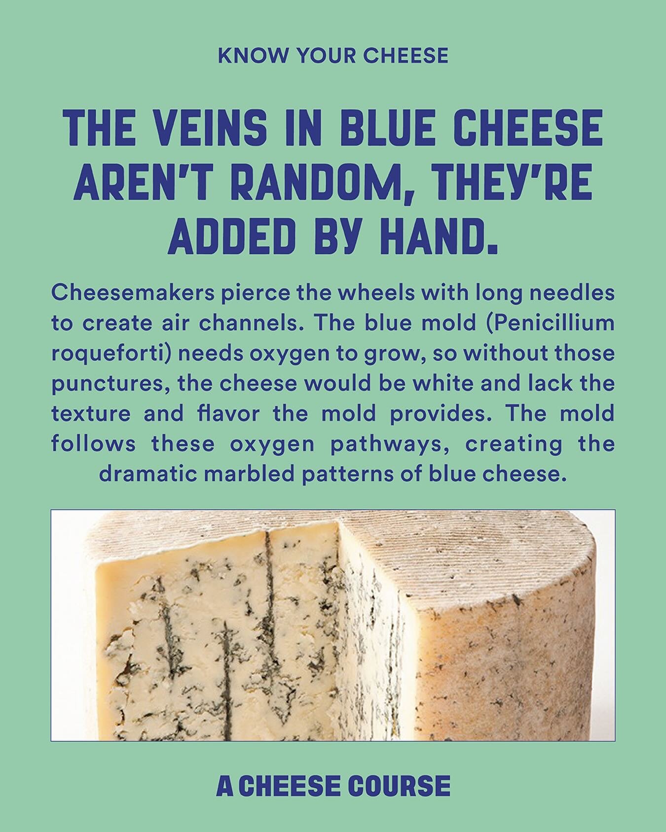 Early cheesemakers used uncontrolled cave-aging that allowed for natural cracks to form in the cheese. These cracks allowed oxygen to enter, causing the mold to grow along the internal surfaces.

Over time, cheese producers learned to replicate this,
