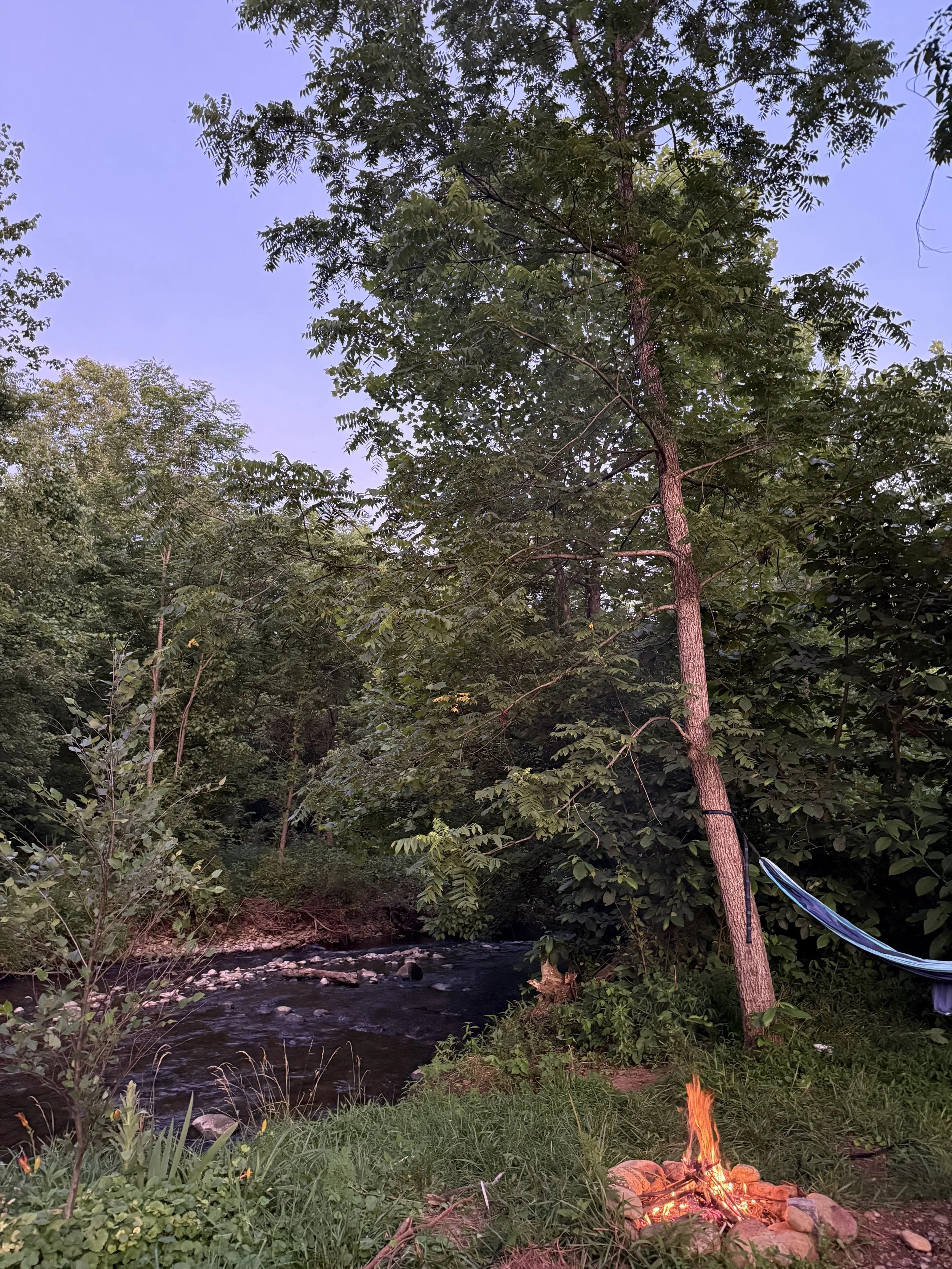 Hammock over the creek