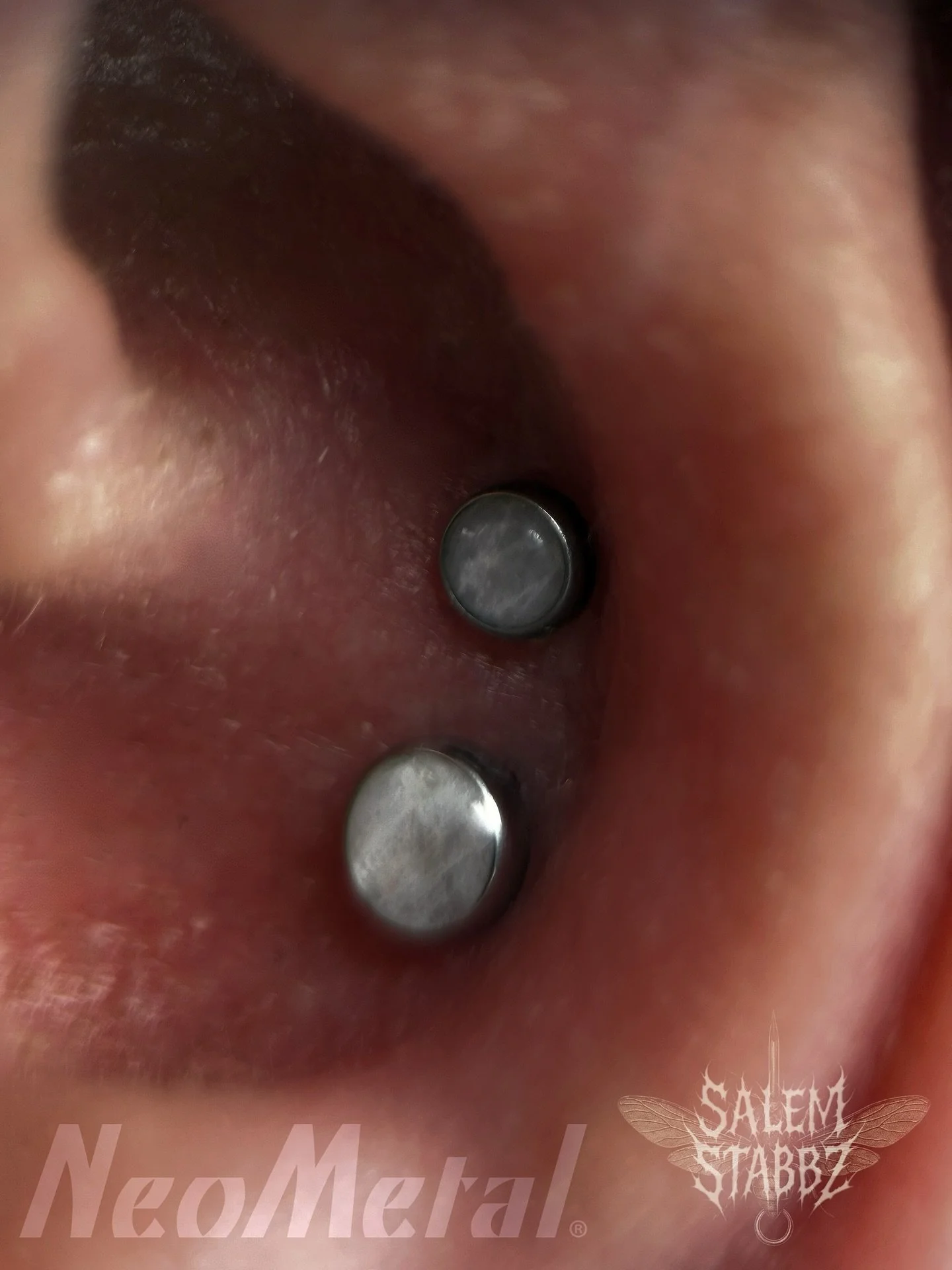 🌑🌙Double conch stack + 3rd lobe? Say less.🌙🌑
This setup features 3mm and 4mm cabochon moonstones in a stacked conch, with a matching 3mm moonstone in the lower lobe to keep the whole vibe cohesive and clean. 
Soft shimmer, solid hardware. 🪙 
A