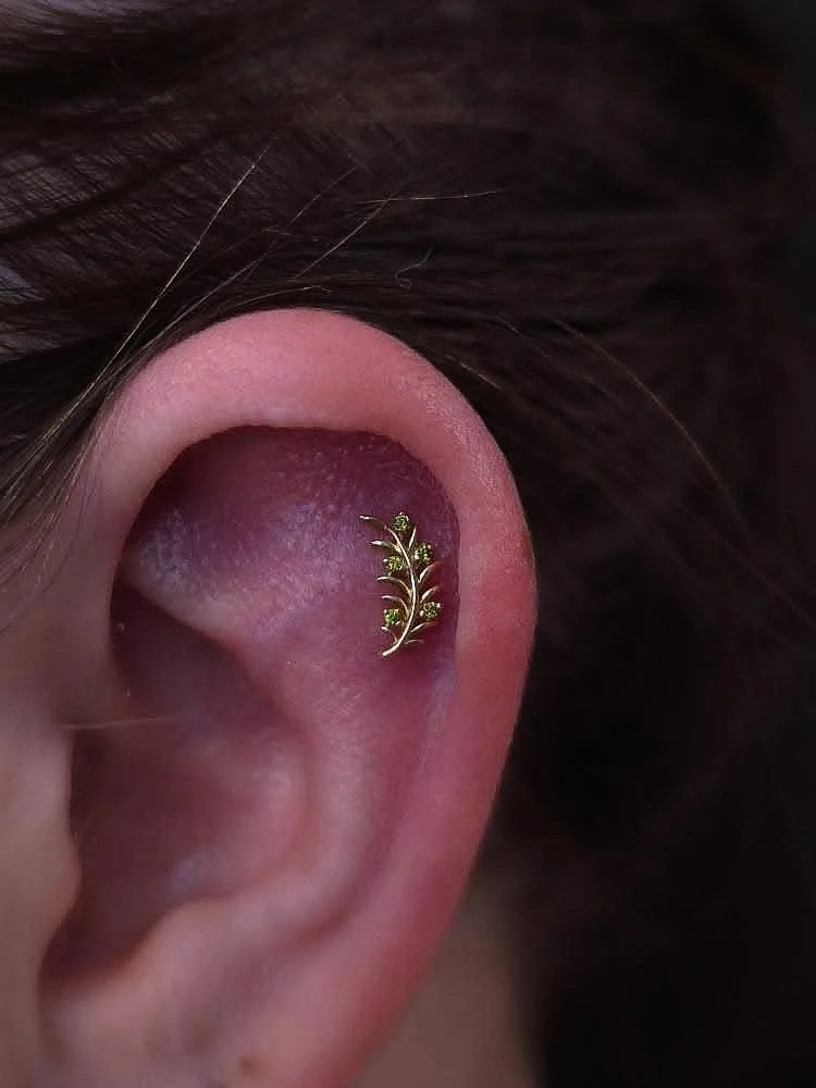 ✨Piercer babes supporting Piercer babes w/ @stab.rat ✨
This is a fun lil story! 
Two months ago, I pierced these gorgeous girls helixes. For their downsize, they ordered 2 gorgeous 14kt Yellow Gold left-facing olive branches with peridot accents fr
