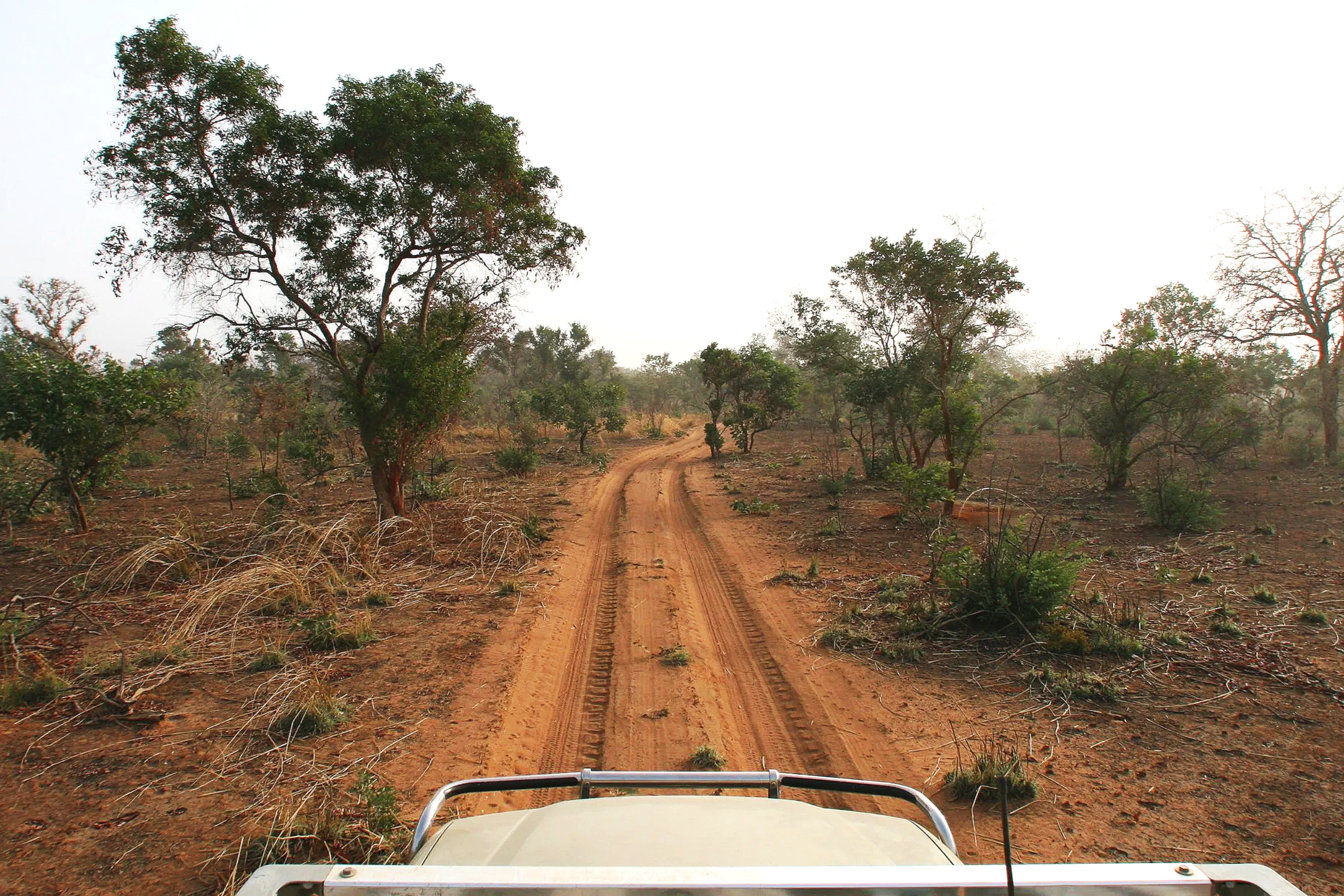 Nomad International security and conservation training hero image
