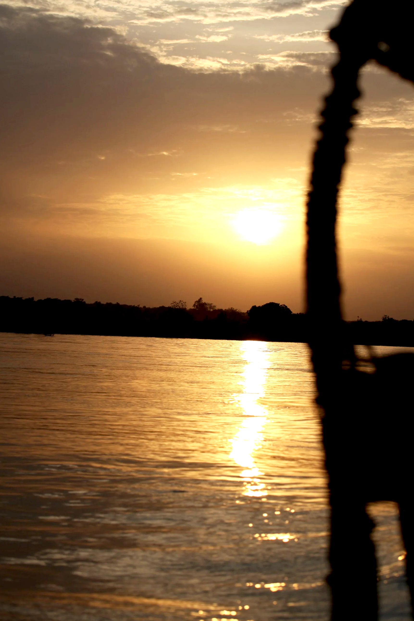 Sunset over a body of water with a tree silhouette in the foreground.