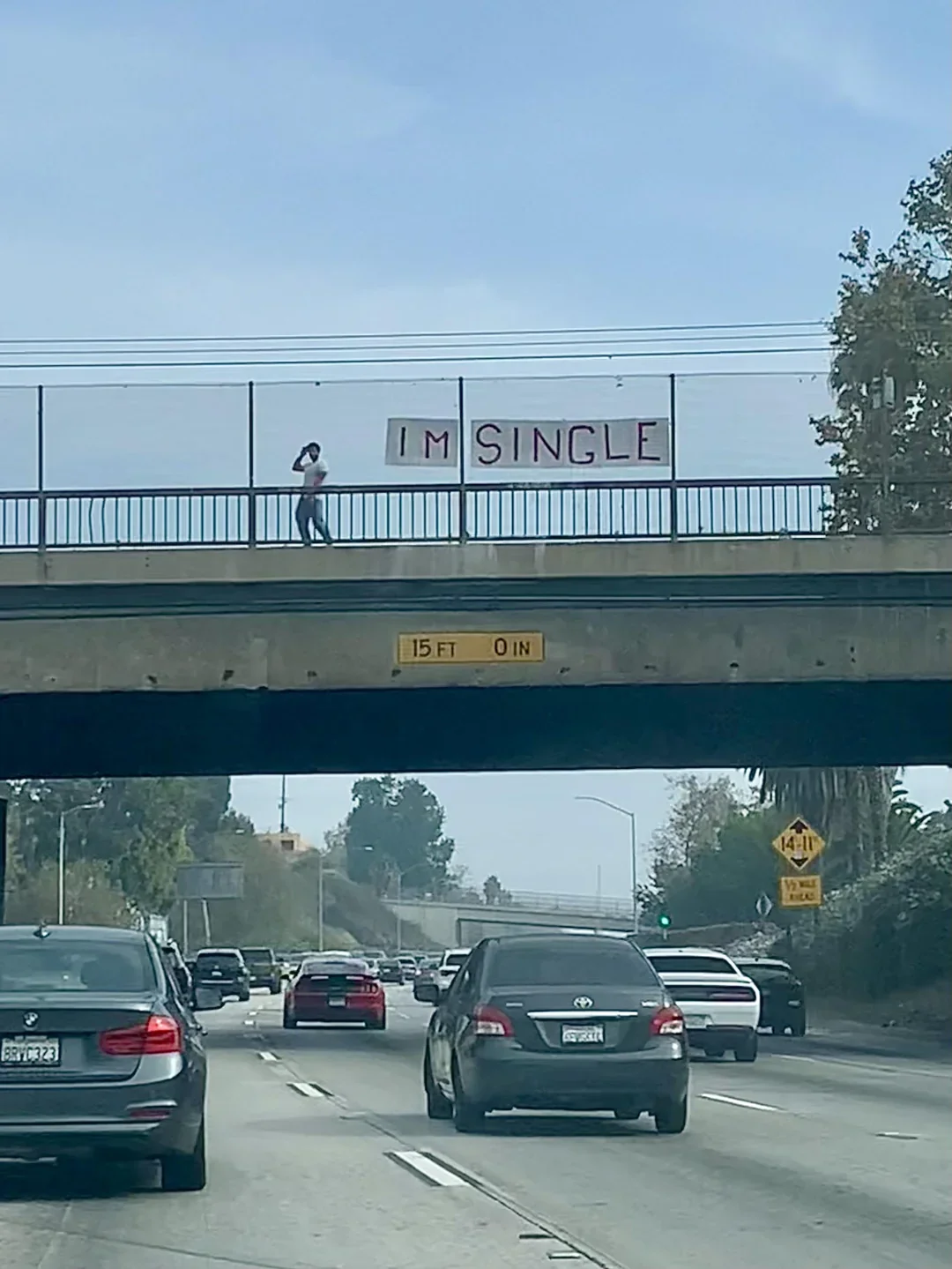 A person standing on a bridge holding a sign that reads 'I'M SINGLE'