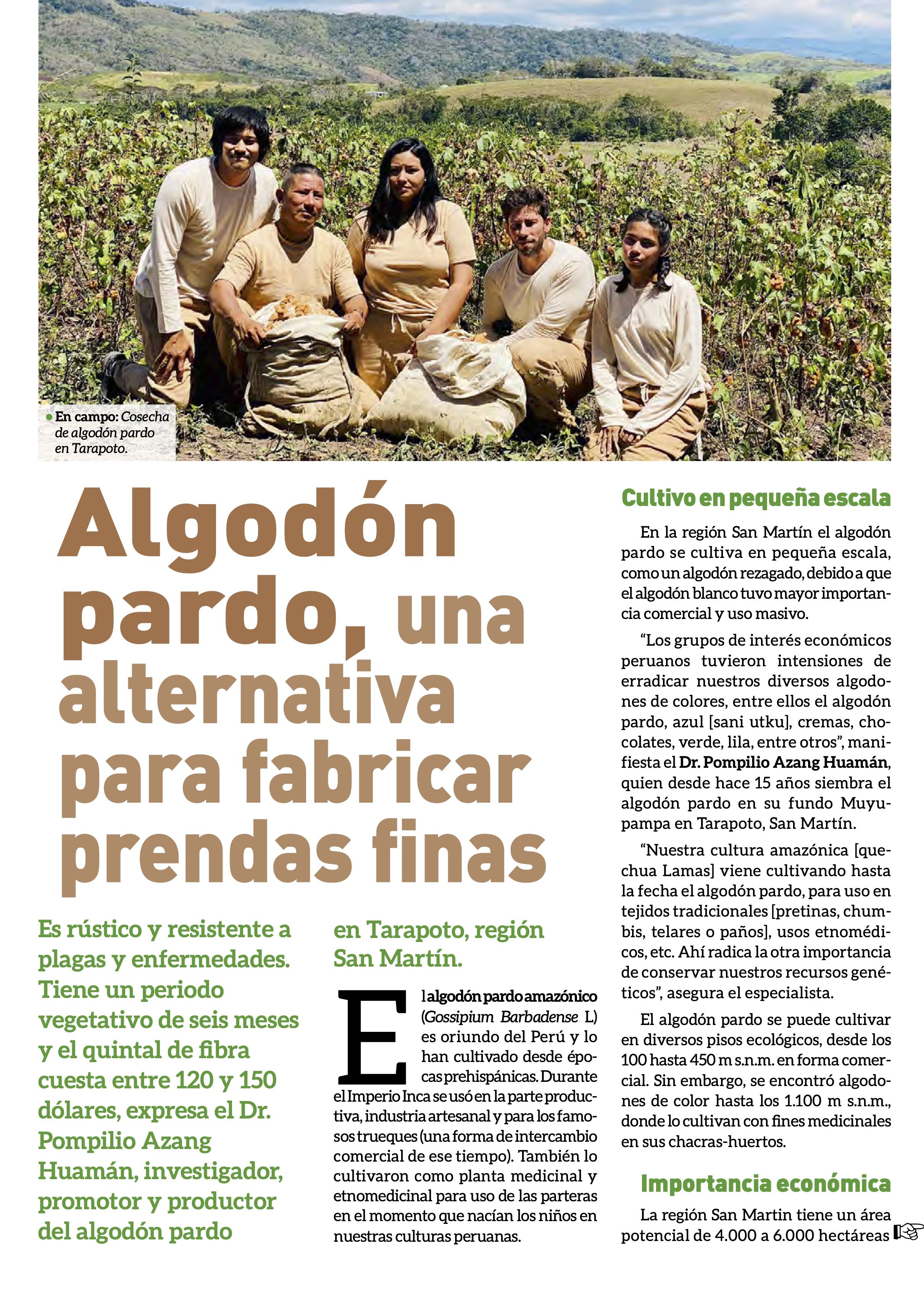 ALGODÓN PARDO UNA ALTERNA (1).jpg