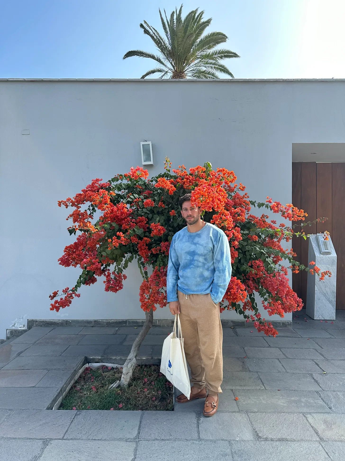 A man standing next to a vibrant red-orange flowering plant in an urban setting with a white wall, palm tree, and modern building elements in the background.