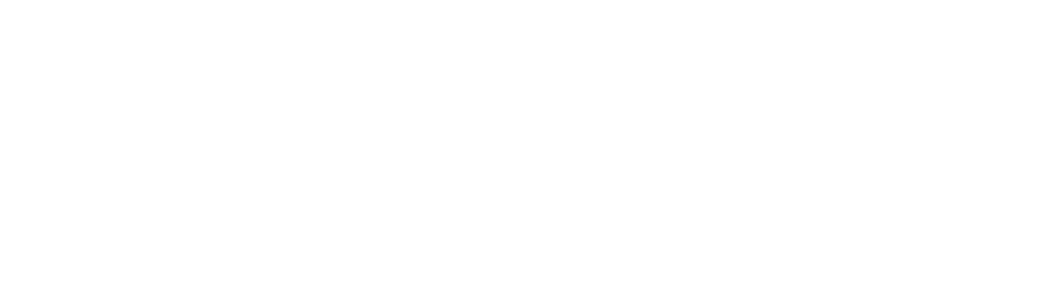 Software and Support to make your fleet more efficient
