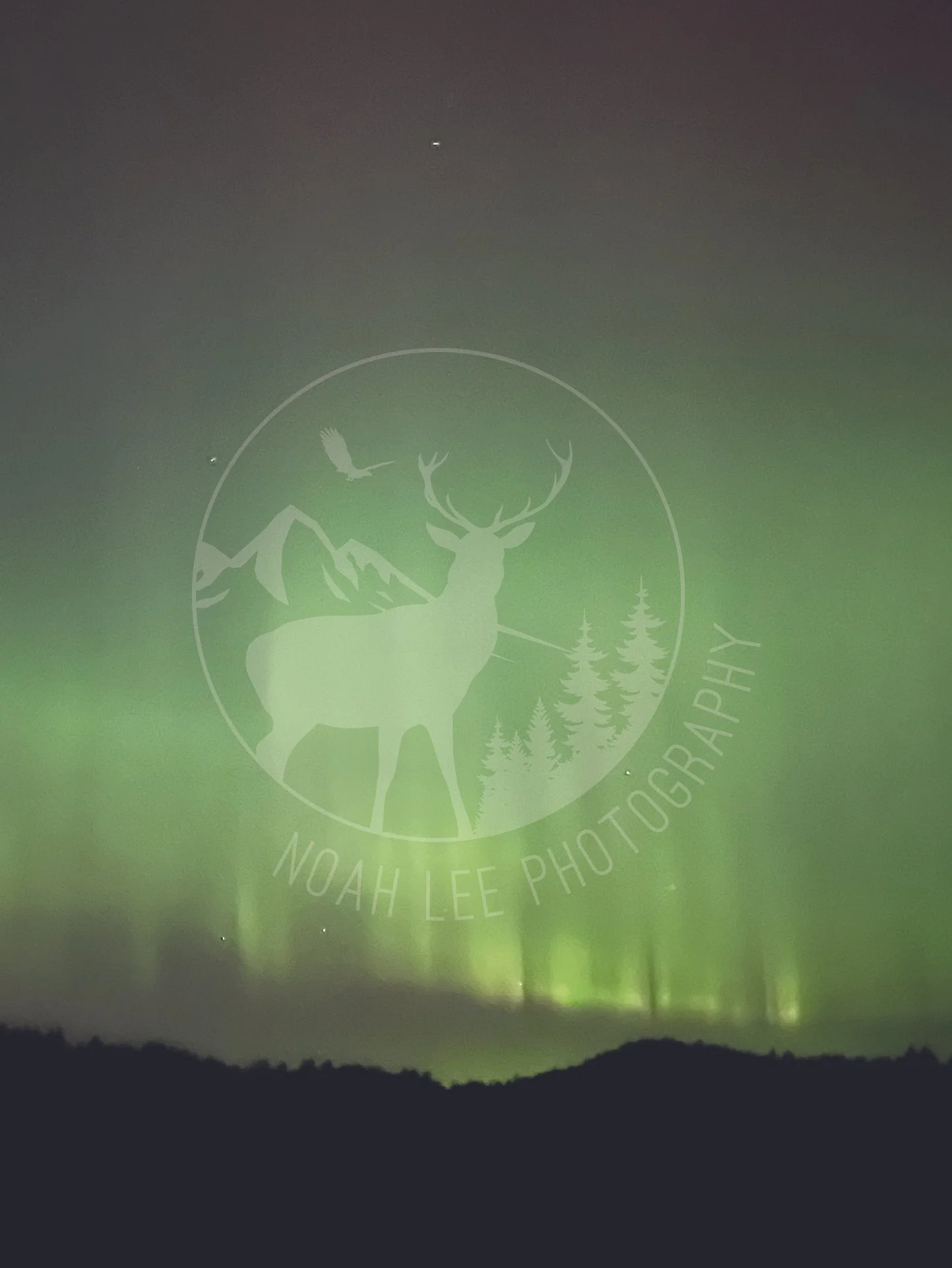 North Idaho Aurora 8.jpg