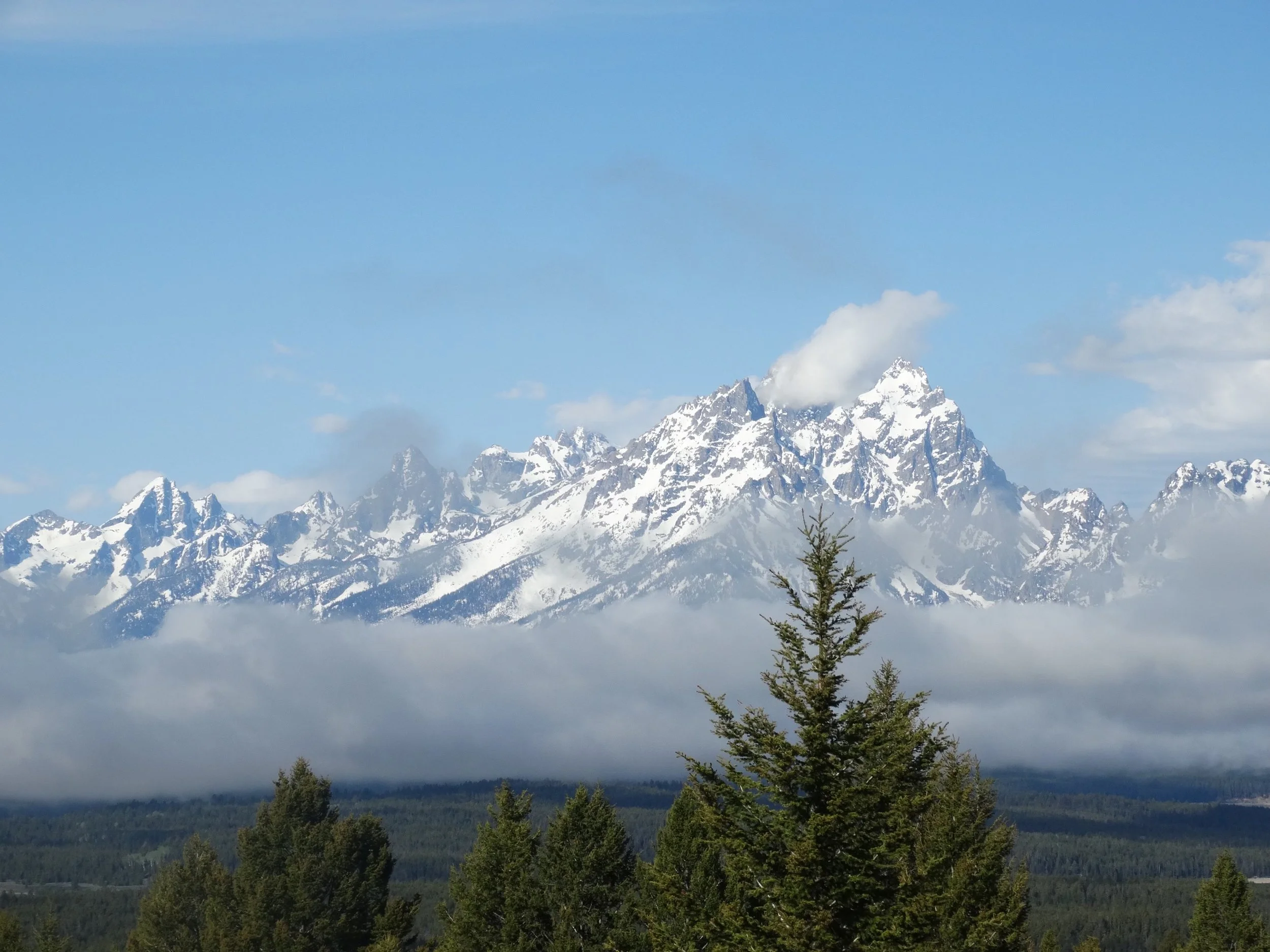 Signal Mountain Grand Teton Spring