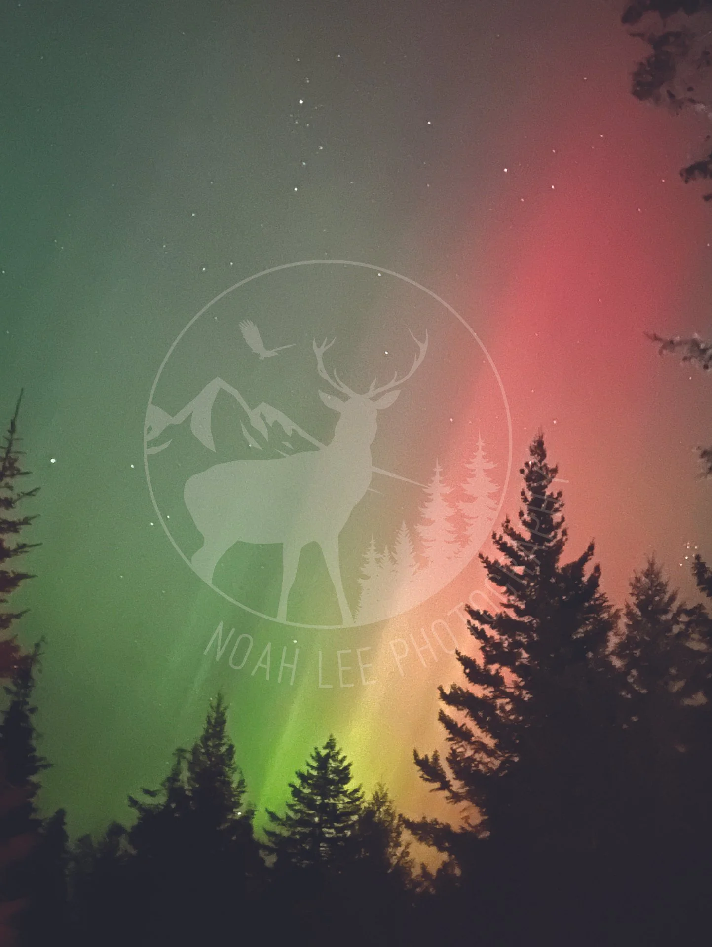 North Idaho Aurora 5.jpg