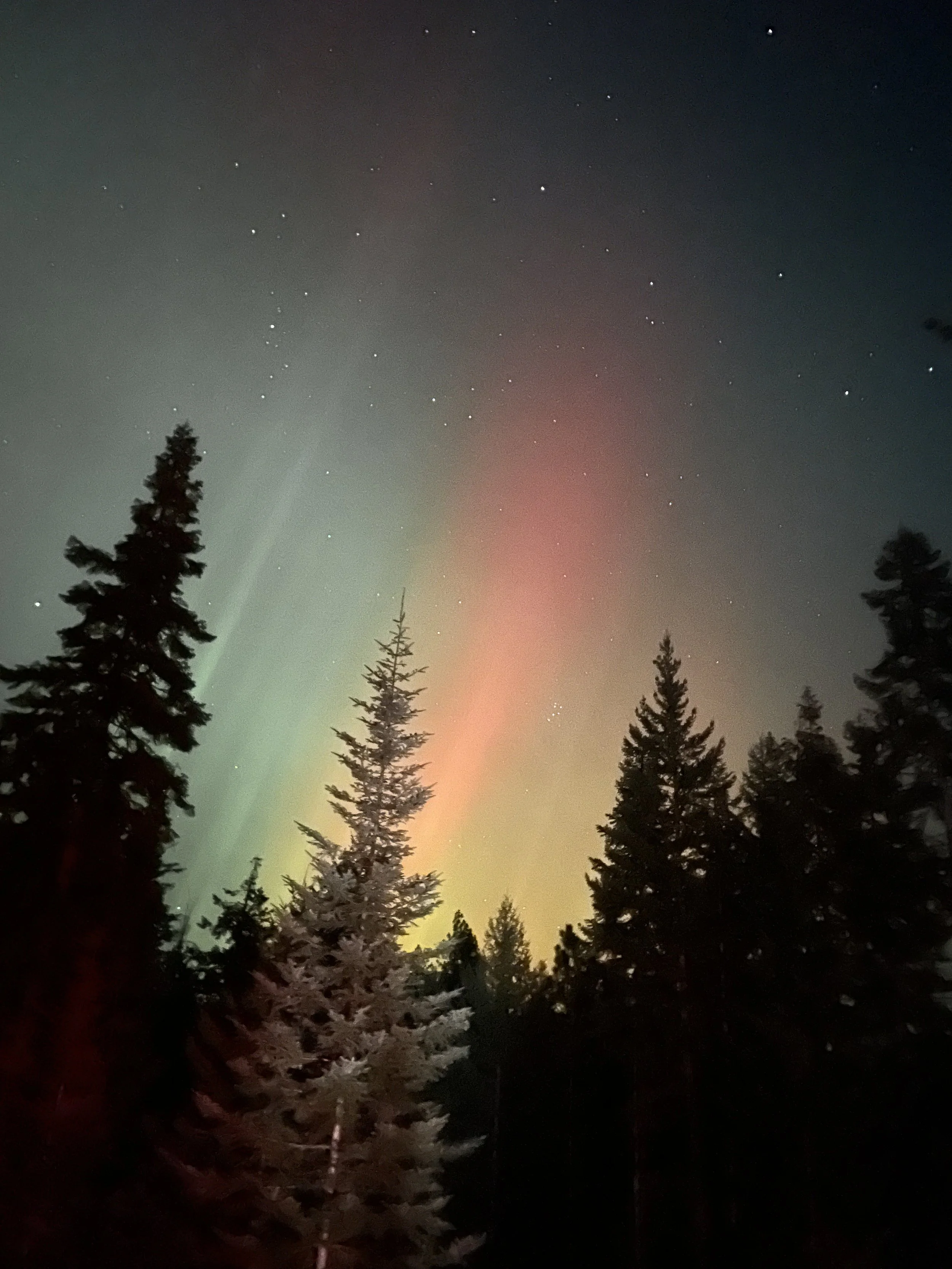 Aurora Over the Wilderness