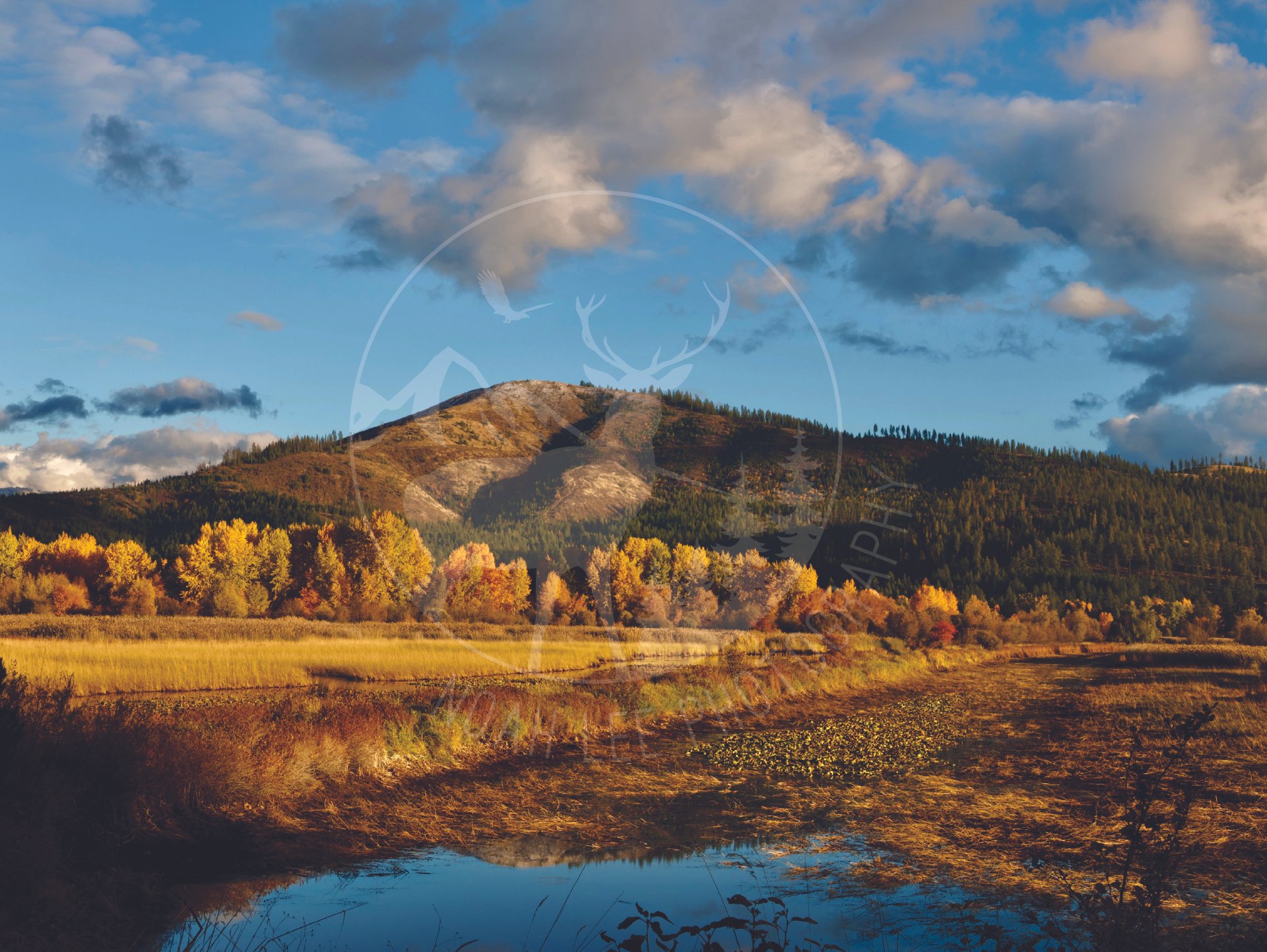 Autumn Mountains - Web.jpg