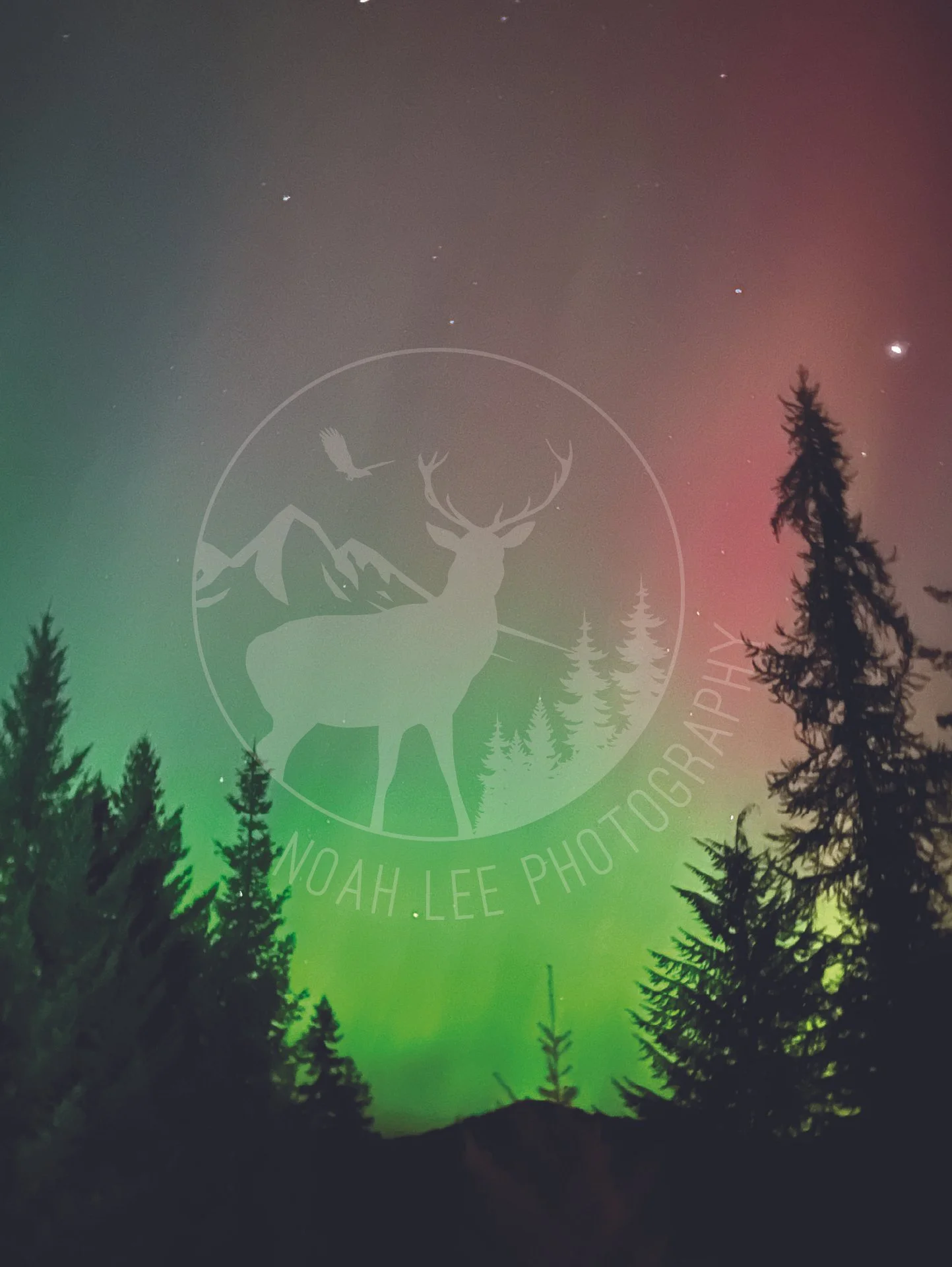 North Idaho Aurora 7.jpg