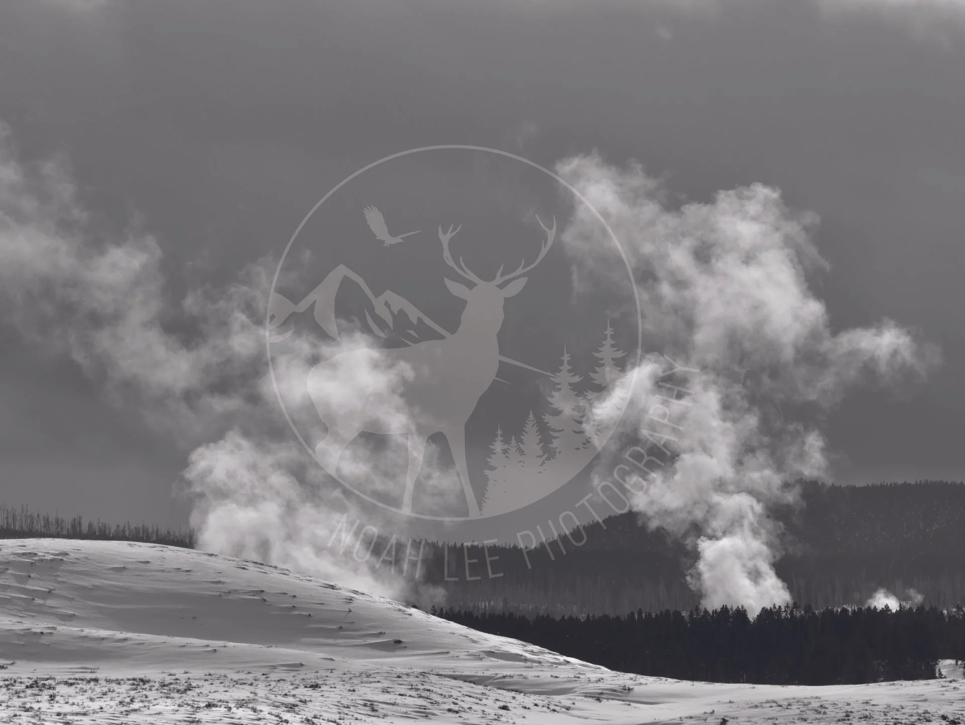 NEWGeothermalsRising - Web.jpg