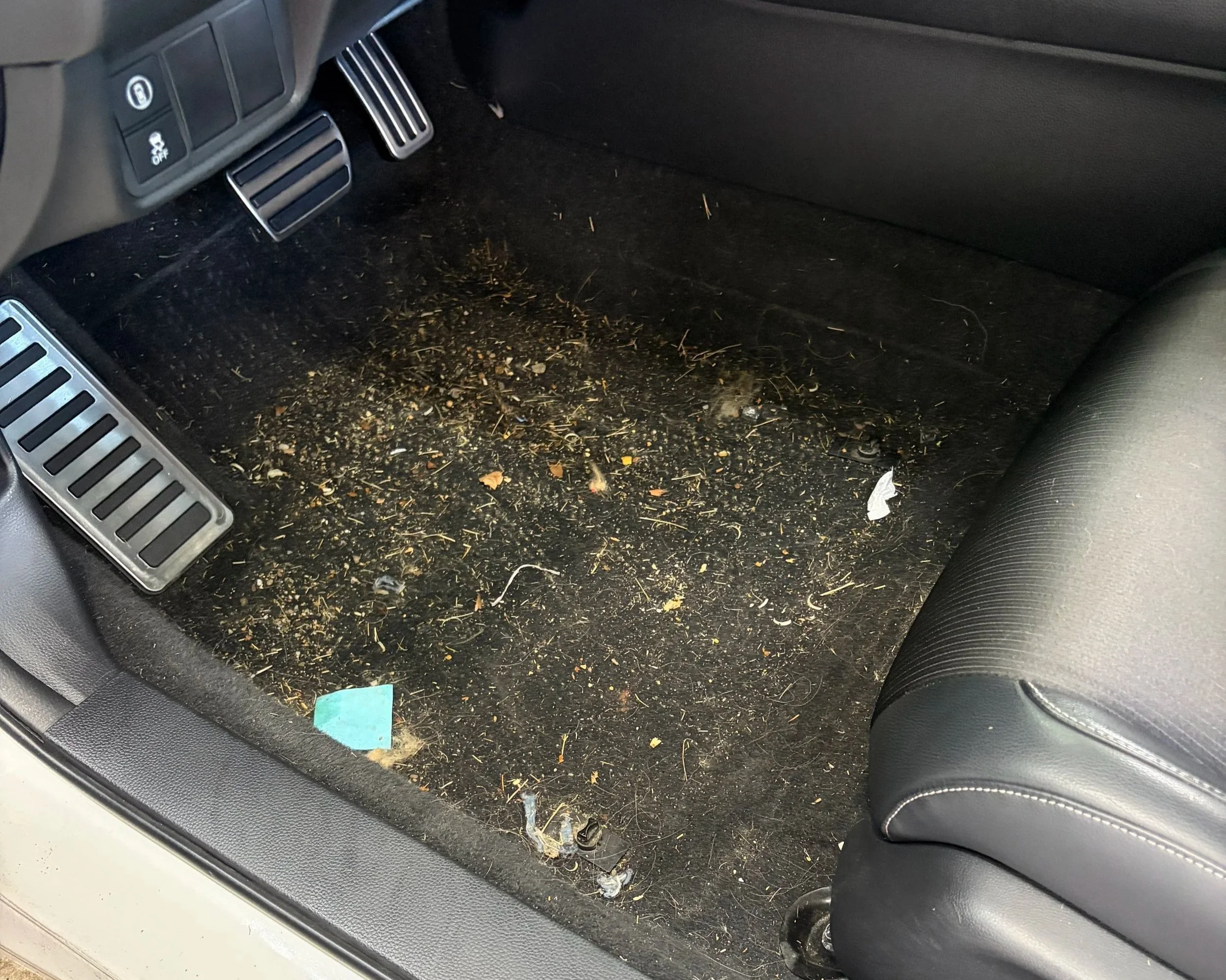 Vehicle interior after professional detailing