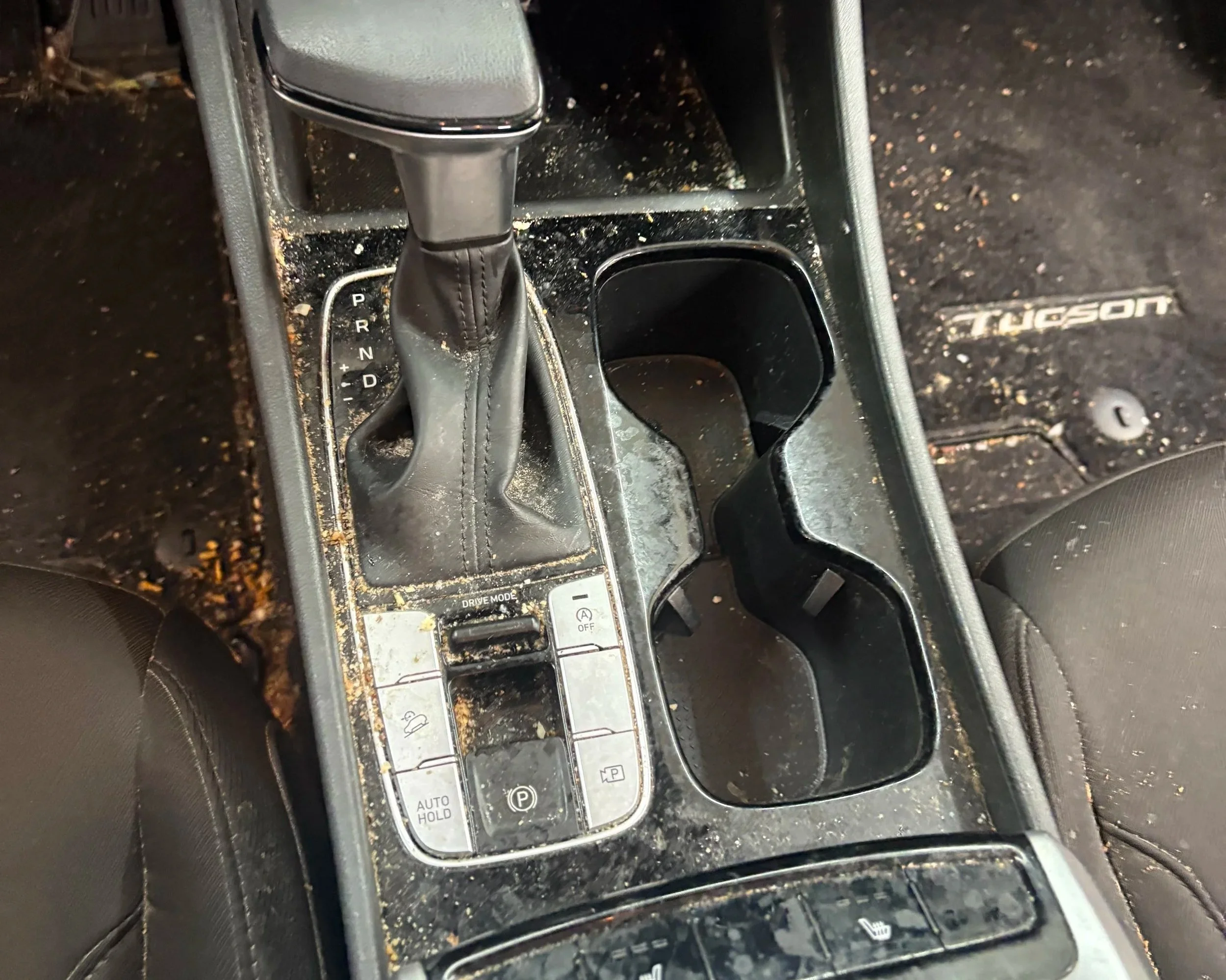 Vehicle interior after professional detailing
