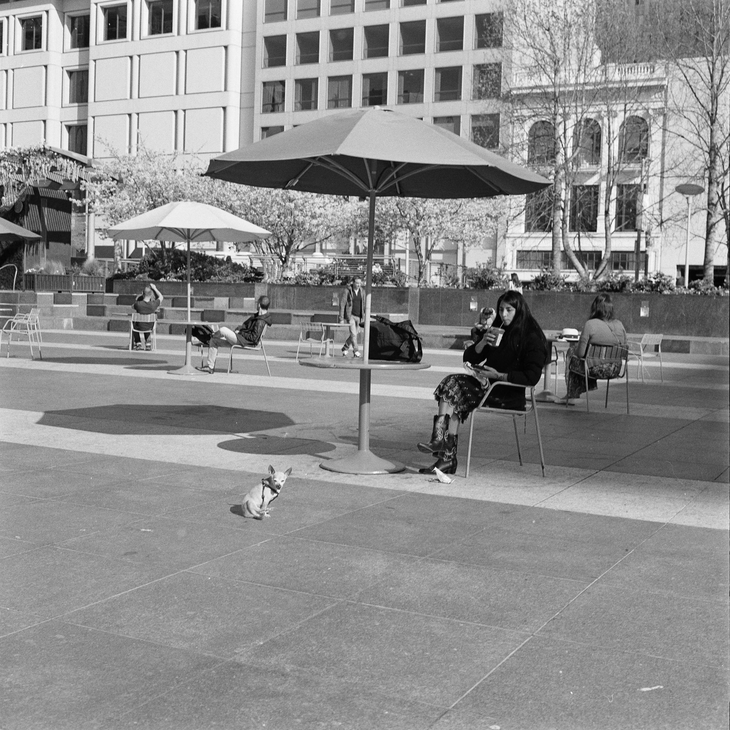 BP-April 29, 2025 -09-47-03.jpg