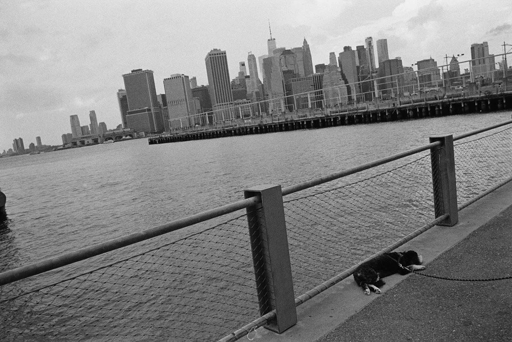 BP-July 20, 2025 -06-59-45.jpg