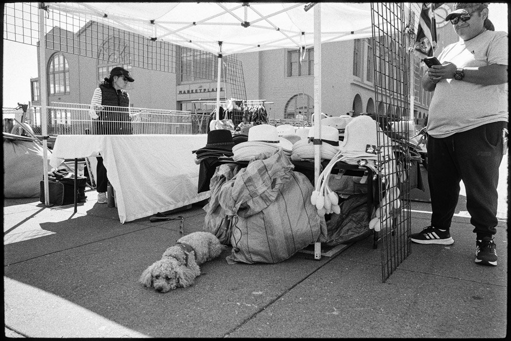 BP-June 12, 2026 -18-58-05.jpg
