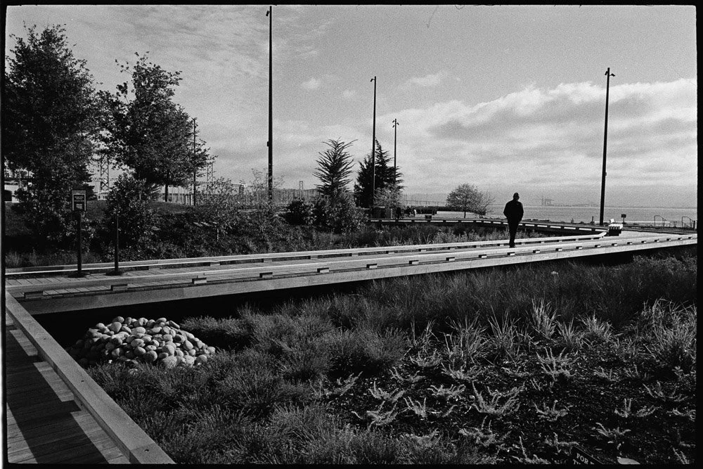 BP-April 27, 2024 -14-07-54.jpg