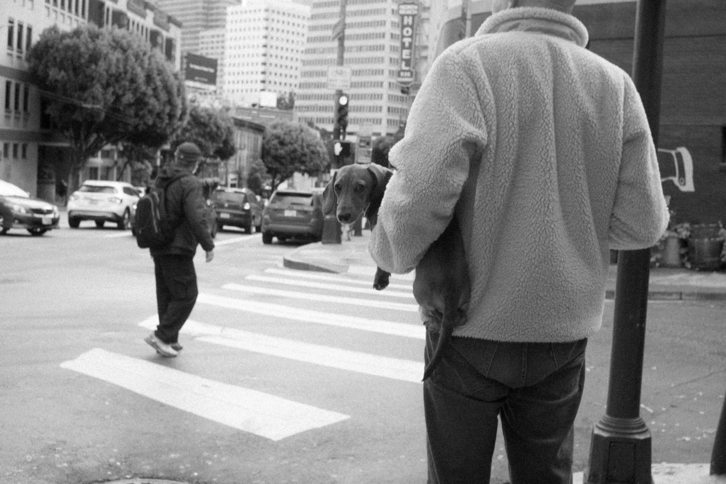 BP-February 01, 2024 -10-28-38.jpg
