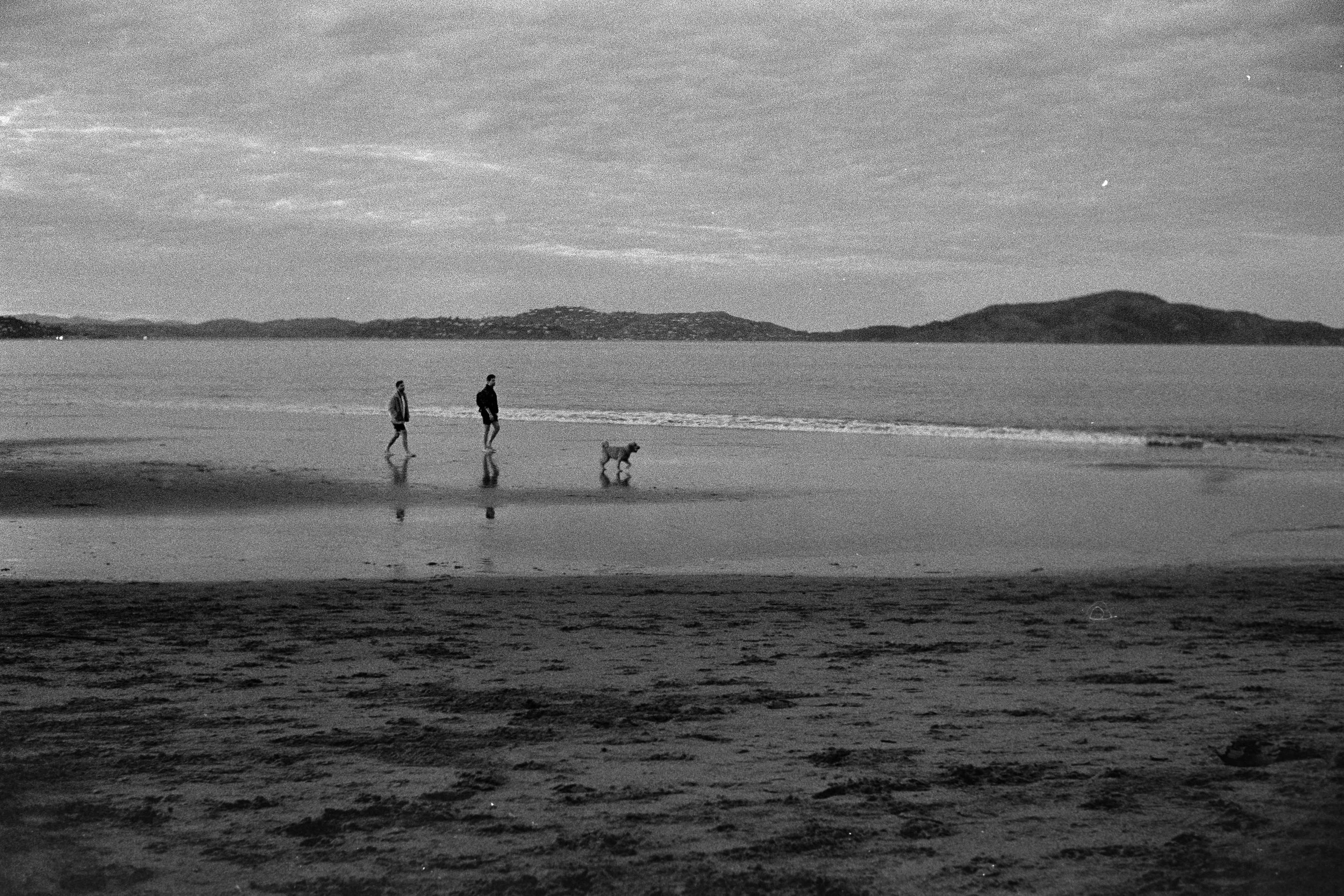 BP-February 18, 2024 -15-58-57.jpg