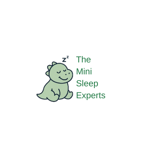 The Mini Sleep Experts
