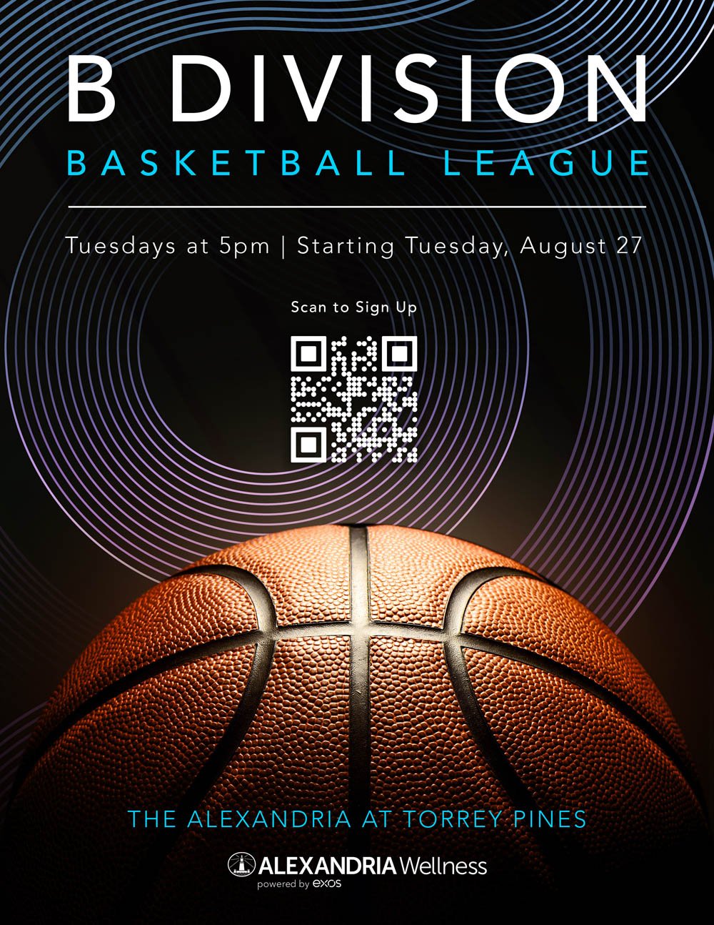 BDivision_Basketball_League_2024-min.jpg