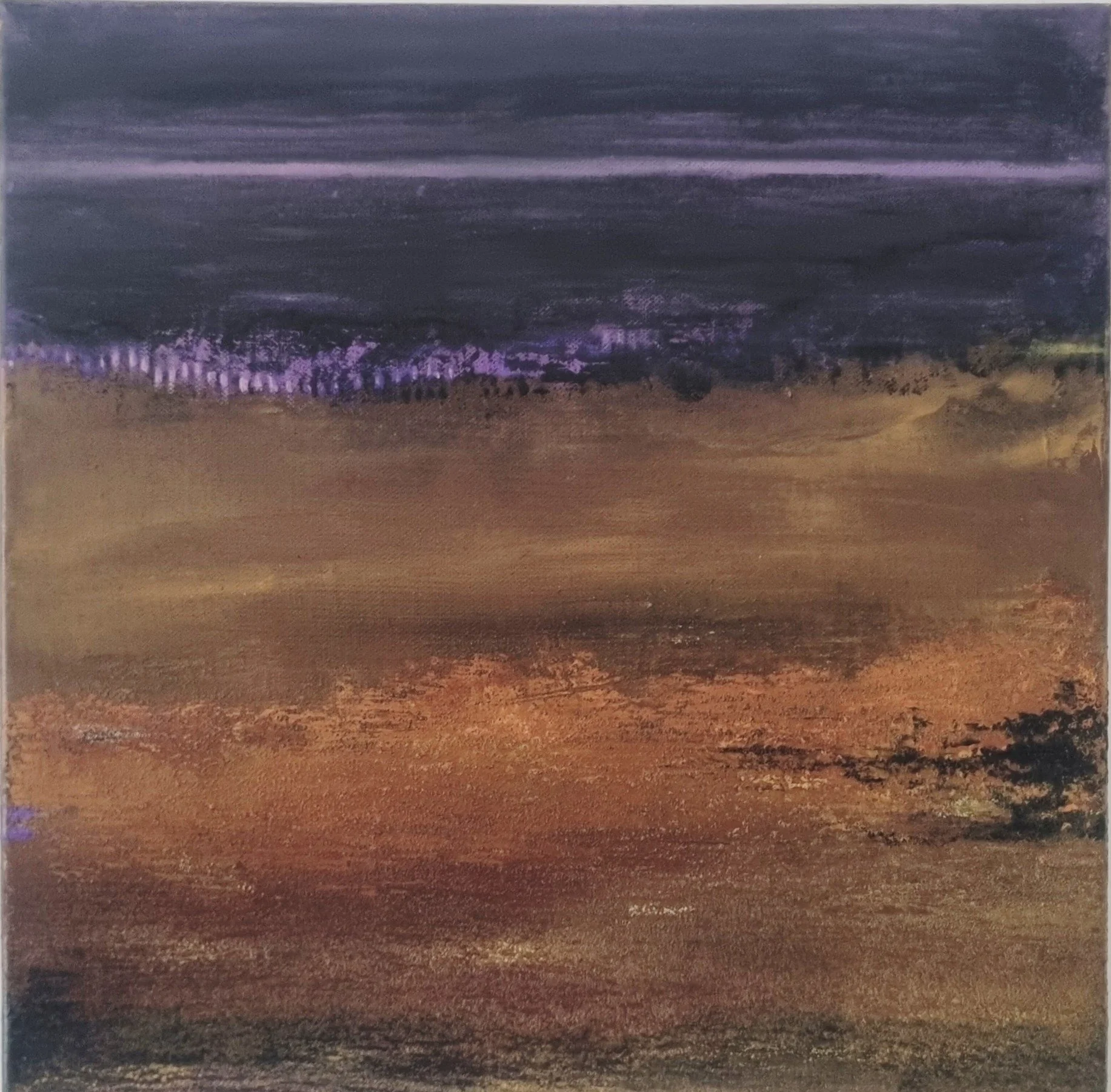 Transiciones Nocturnas