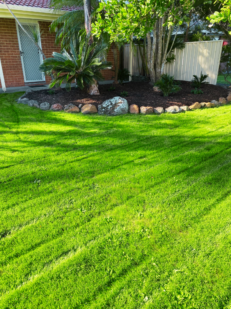 Garden & Lawn Transformation