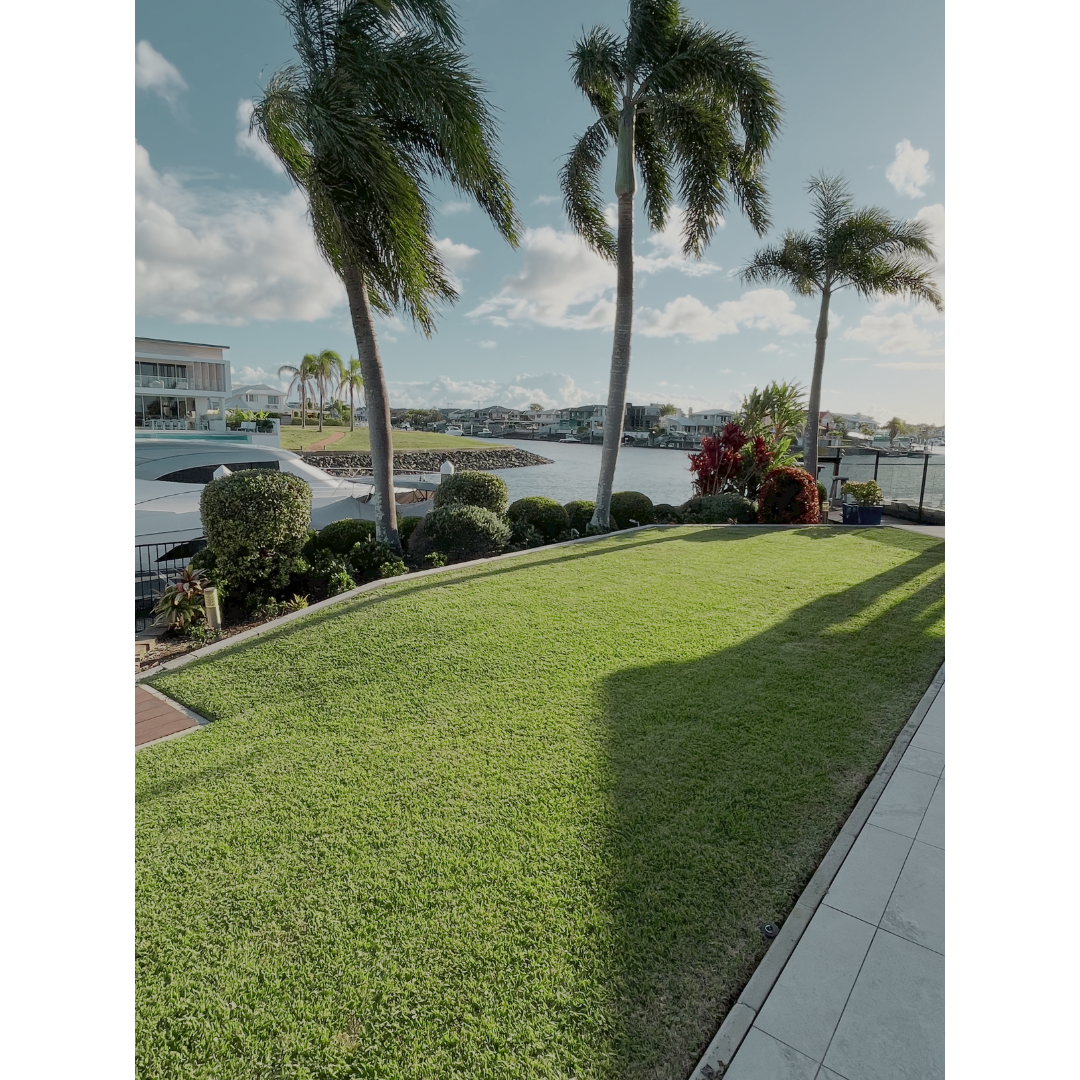 Fresh lawn mow and a hedged gardens with fresh mulch overlooking raby bay