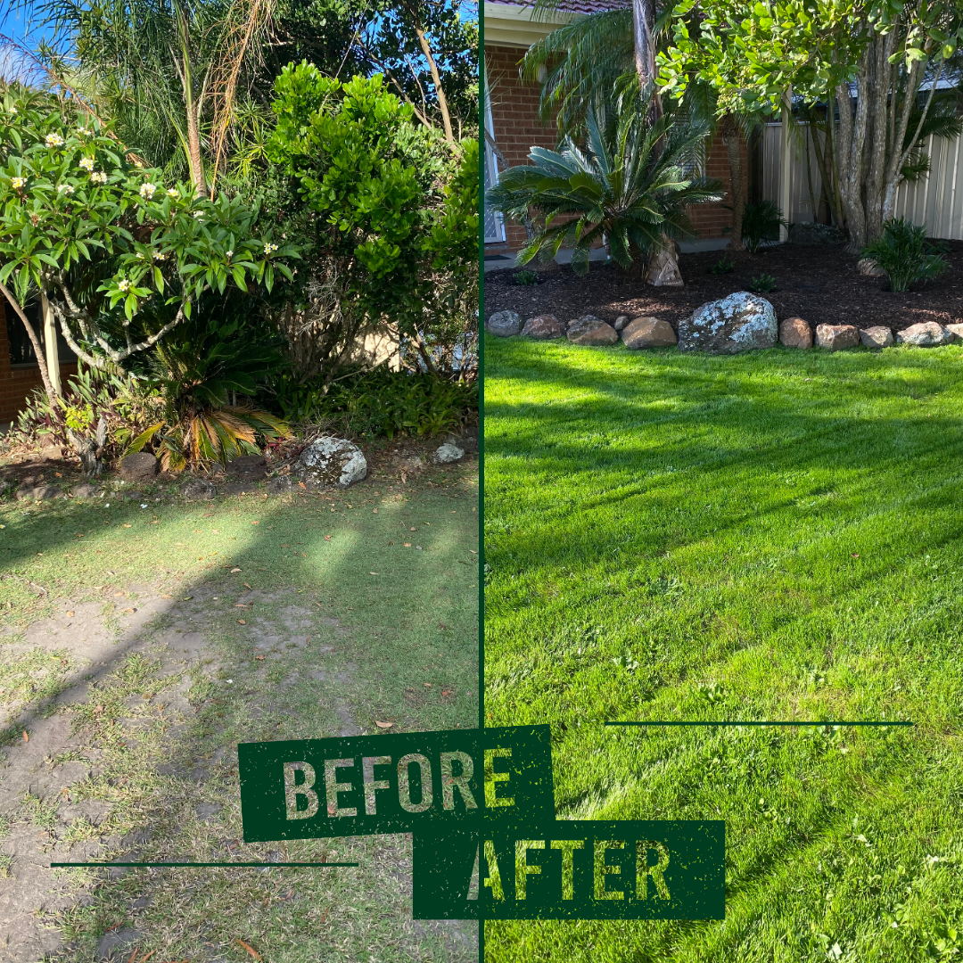 Garden & Lawn Transformation