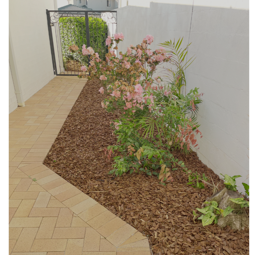A freshly mulched garden and a bush with pink flowers. The garden is lined with a terracotta tiled pathway