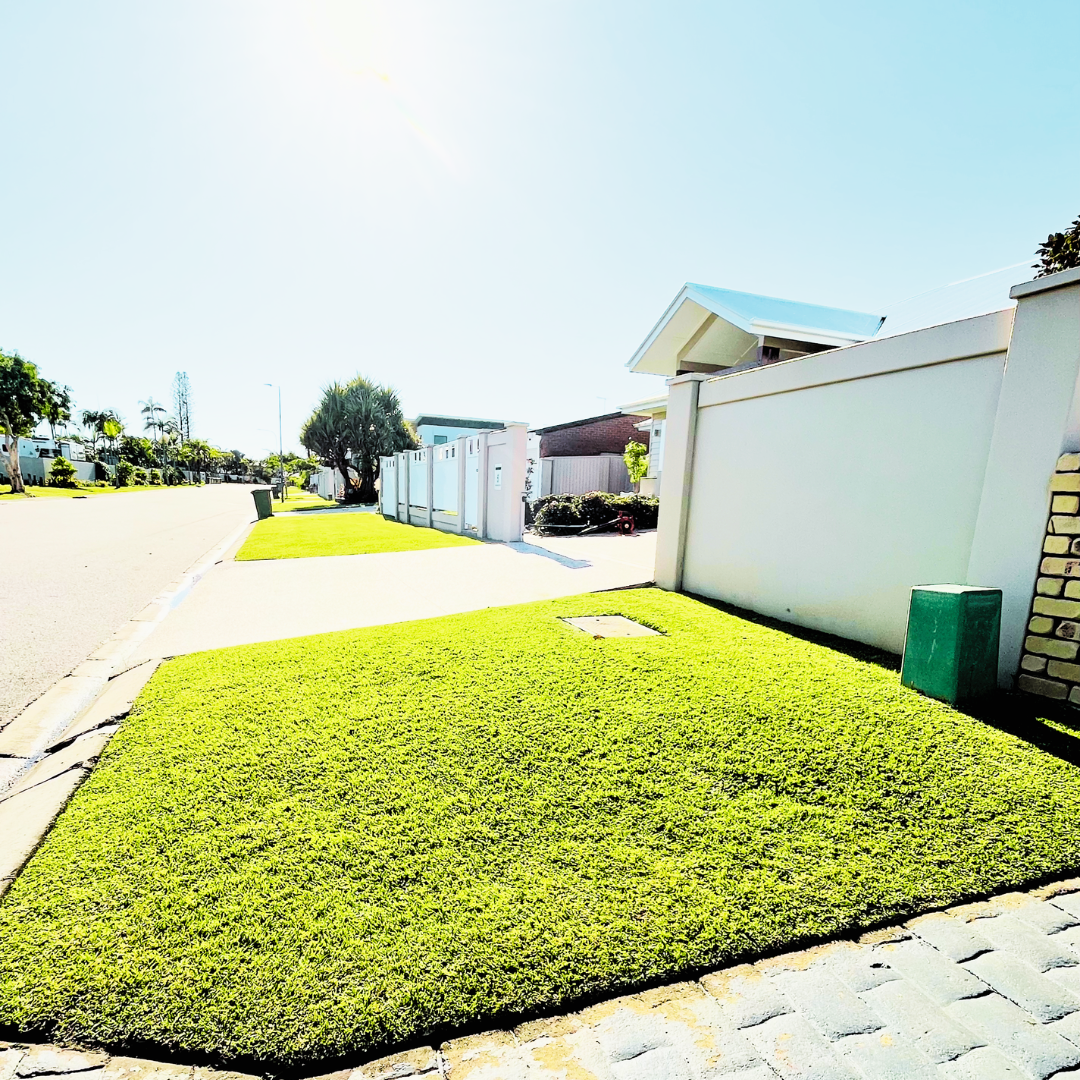 Row of houses on a street. In foreground, a freshly mowed grass in front of one house.