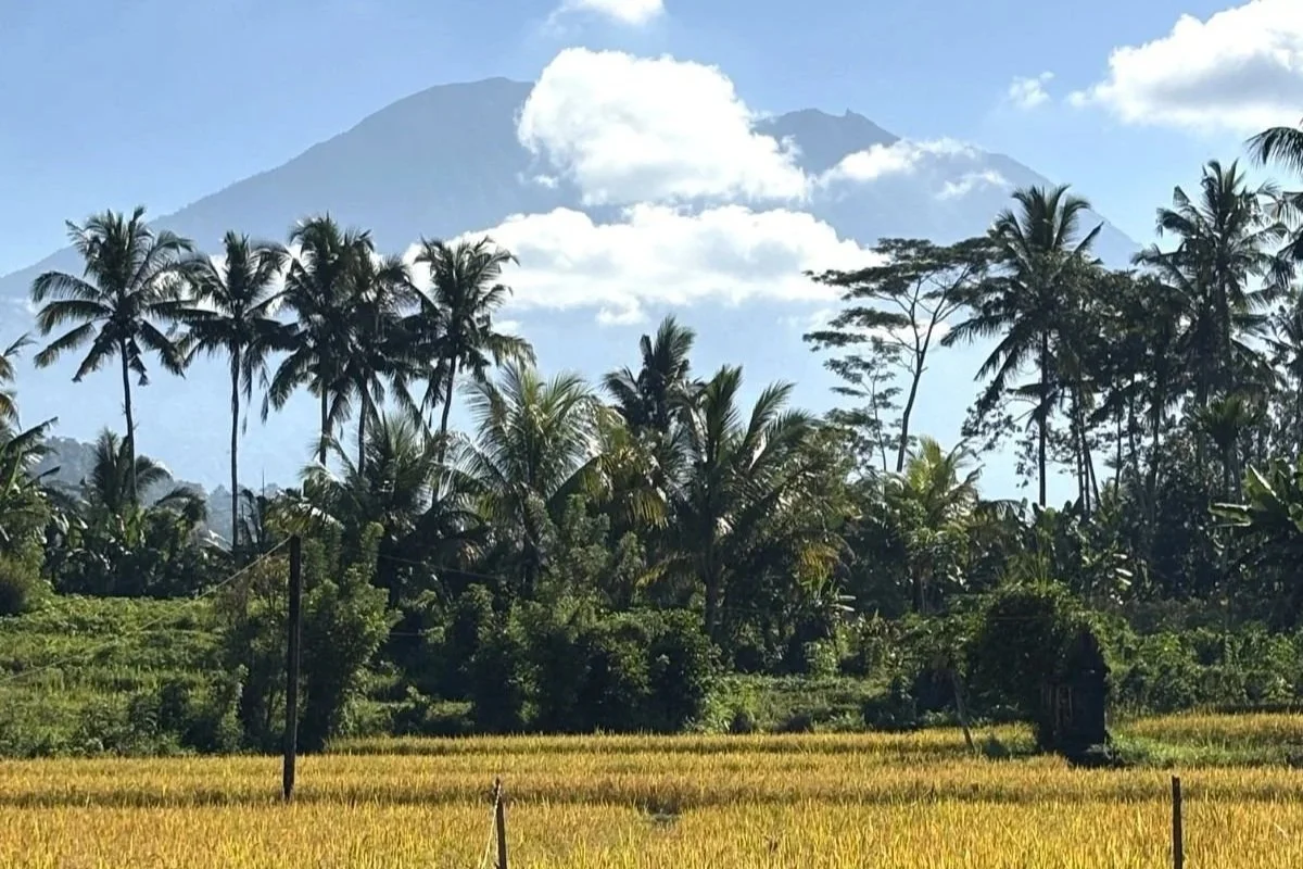 Volcano+and+field+compressed.jpg