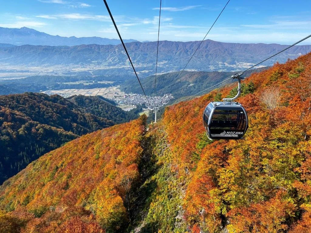 Nozawa Gondola Autumn.jpg