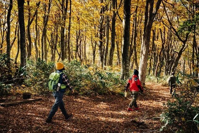 Hiking Autumn.jpg