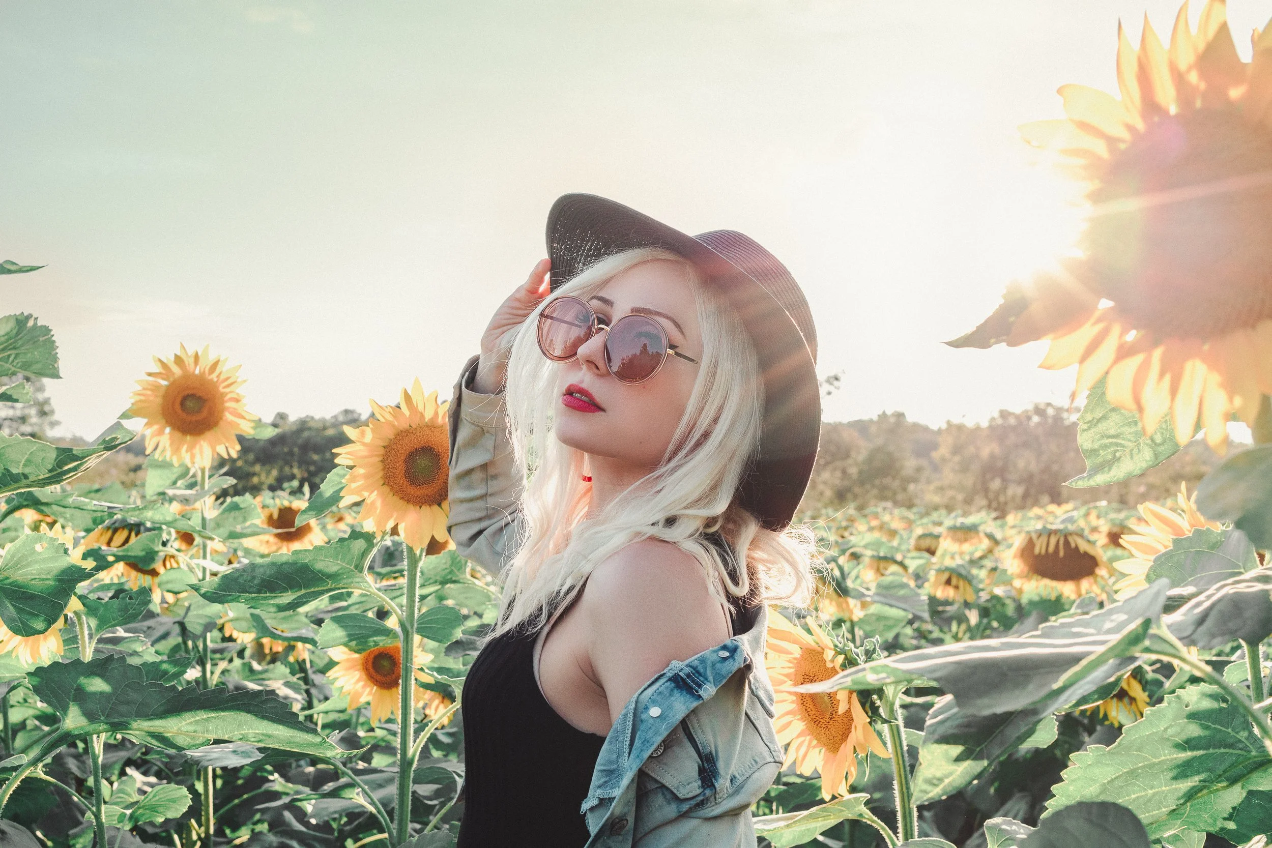 A woman with blonde hair, wearing sunglasses and a black wide-brimmed hat, is standing in a field of sunflowers during sunset.