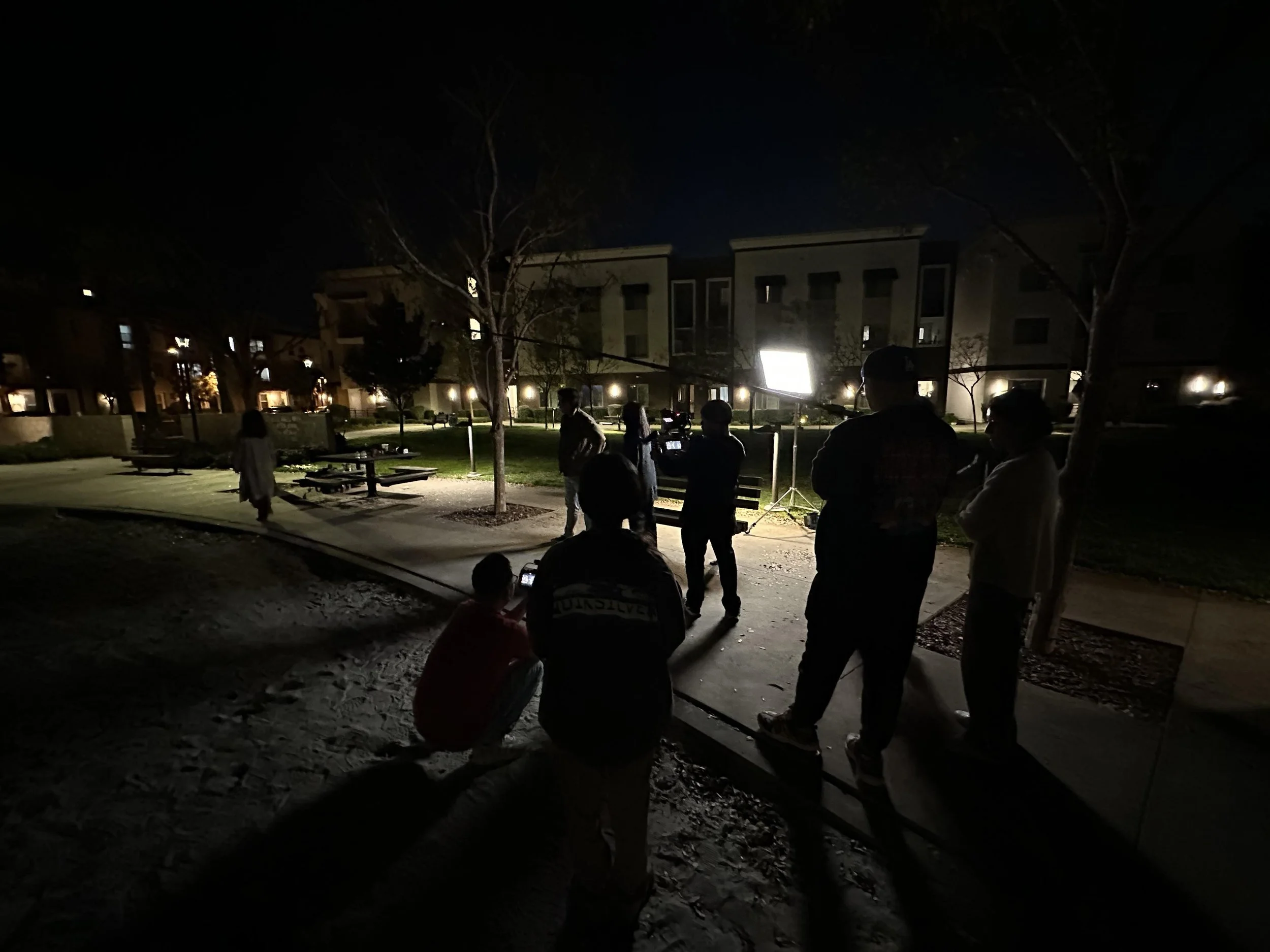 Nighttime outdoor scene with people gathered, some with cameras, in a landscaped area with trees and apartment buildings in the background, illuminated by artificial lights.