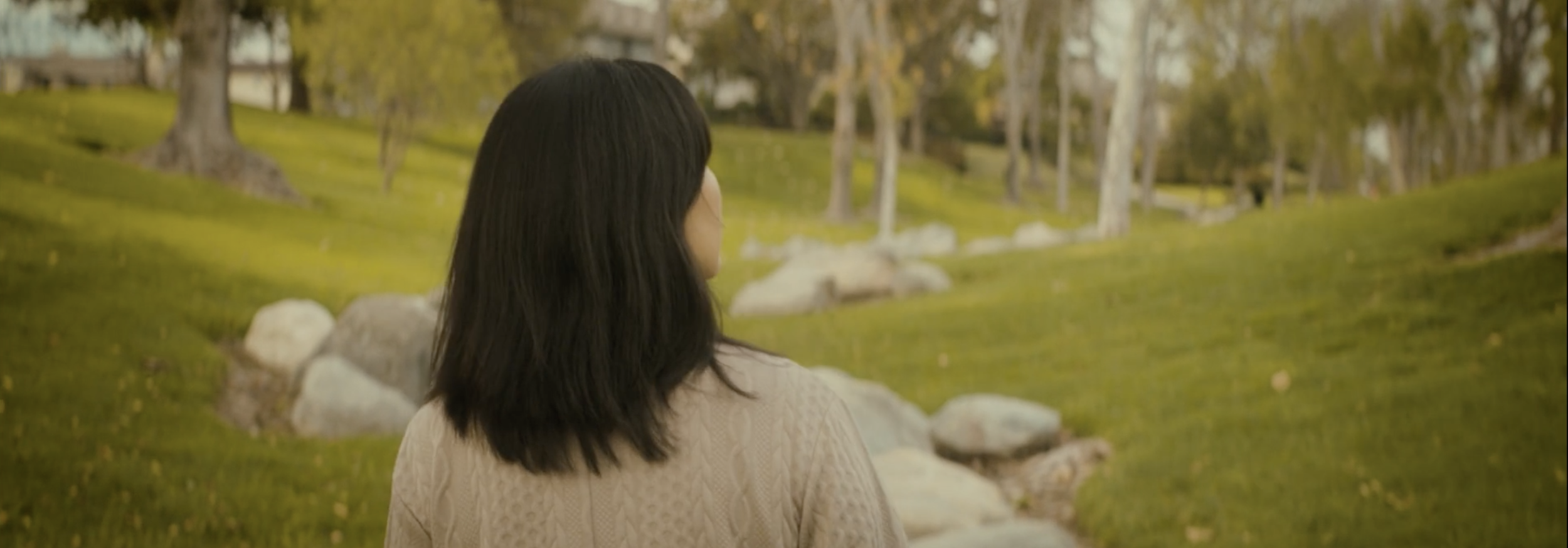 A woman with black hair facing away, standing on a pathway in a park with green grass, trees, and rocks.