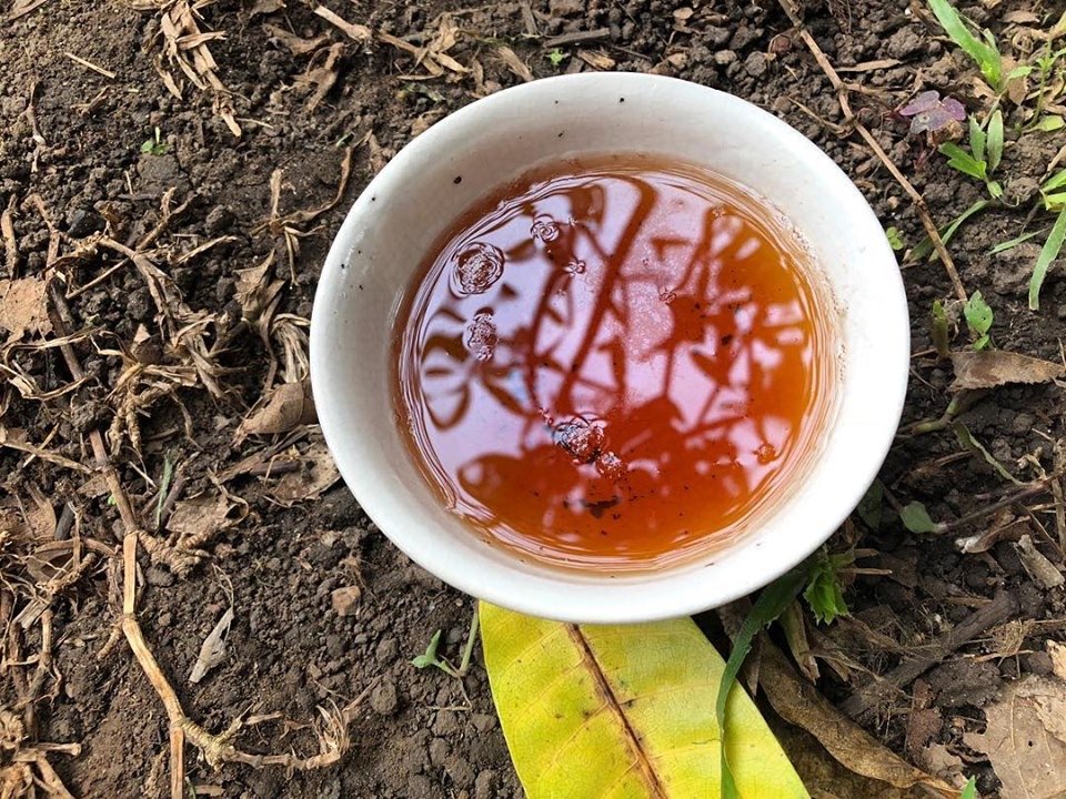 WEEKLY TEA CEREMONY