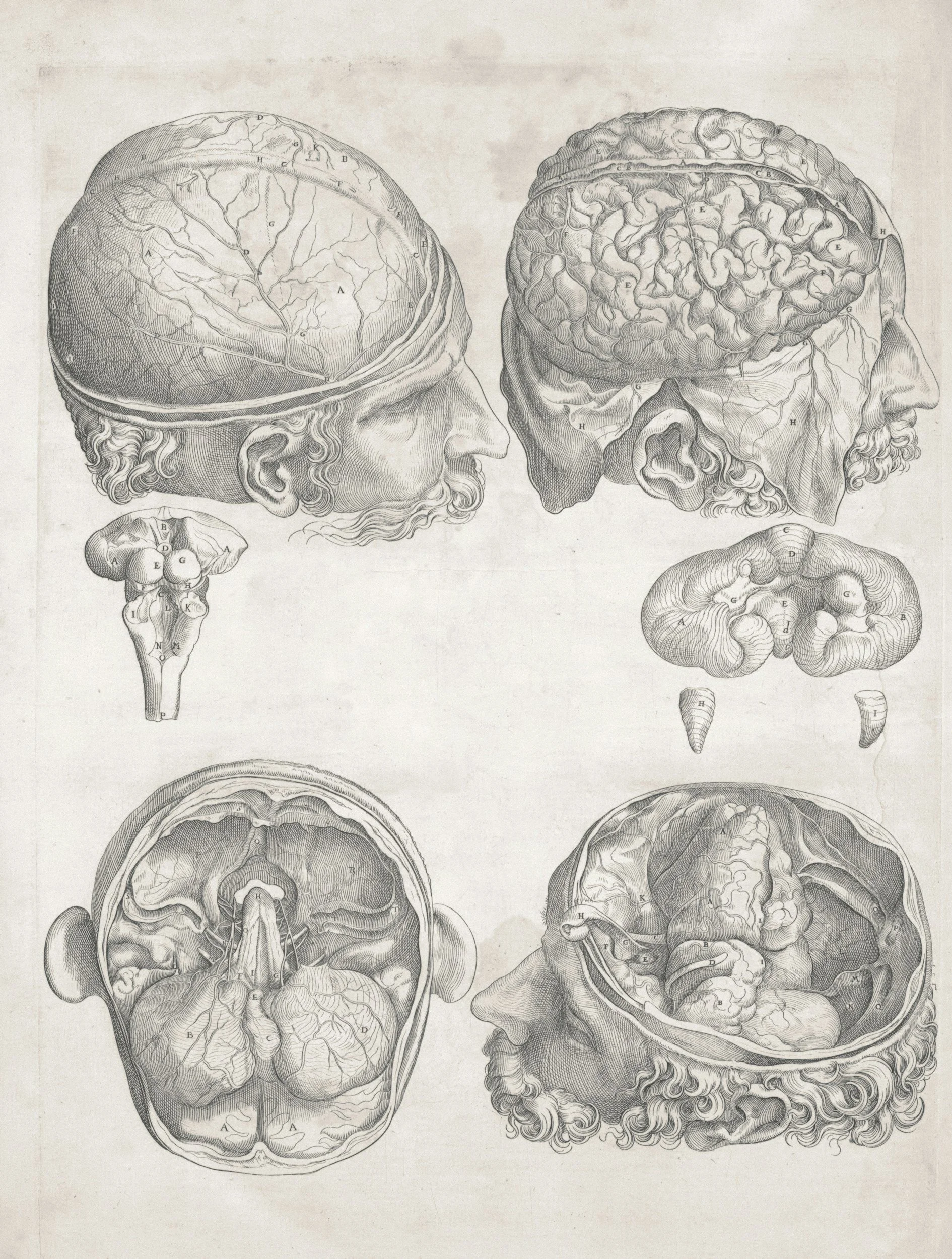 Origins and History of BCST