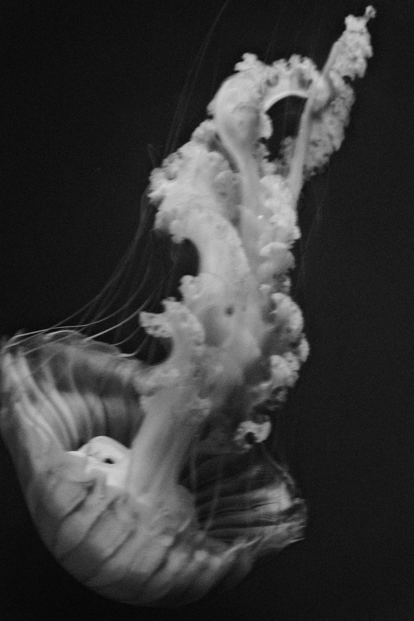 The Breath of Life