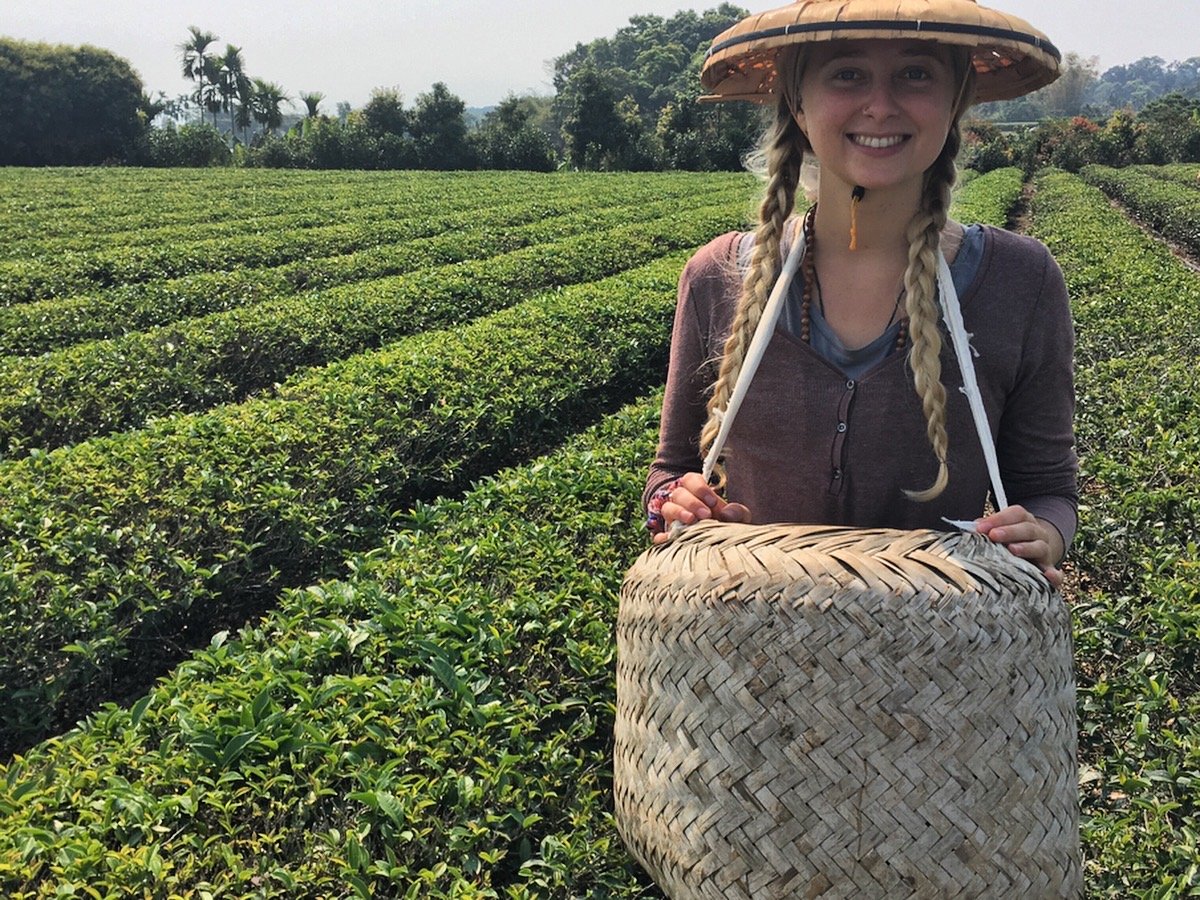 How I started a tea practice…