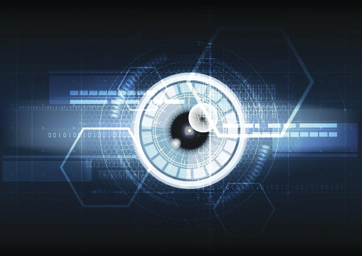 The Government Automation Paradox