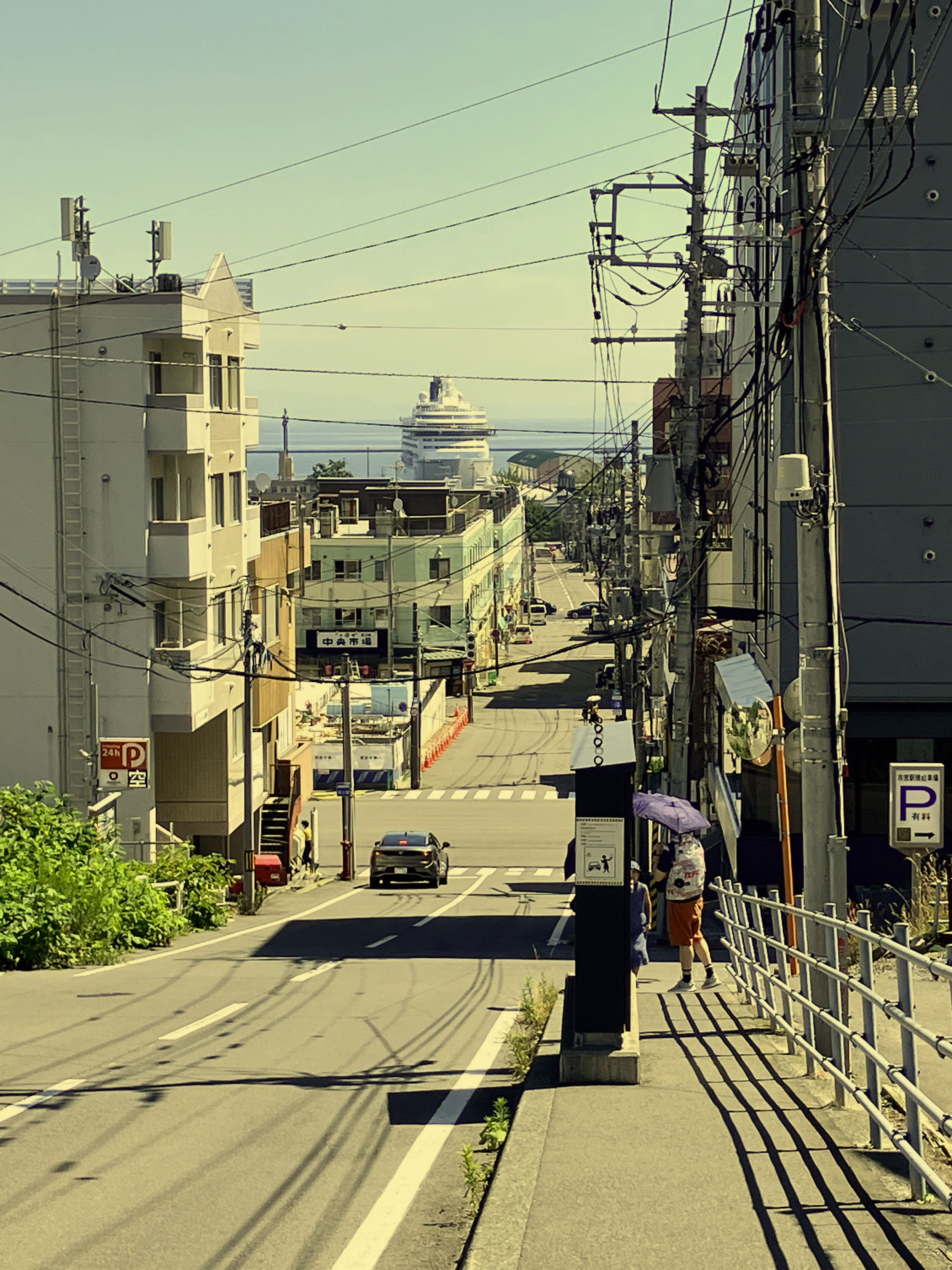 What makes a shore excursion successful in Hokkaido?